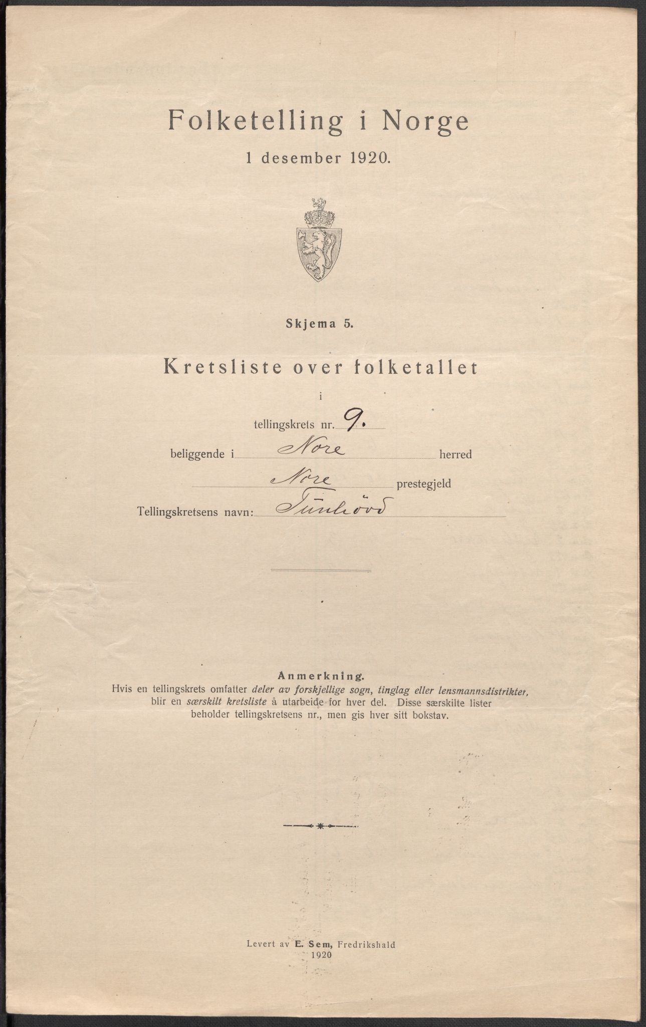 SAKO, 1920 census for Nore, 1920, p. 29