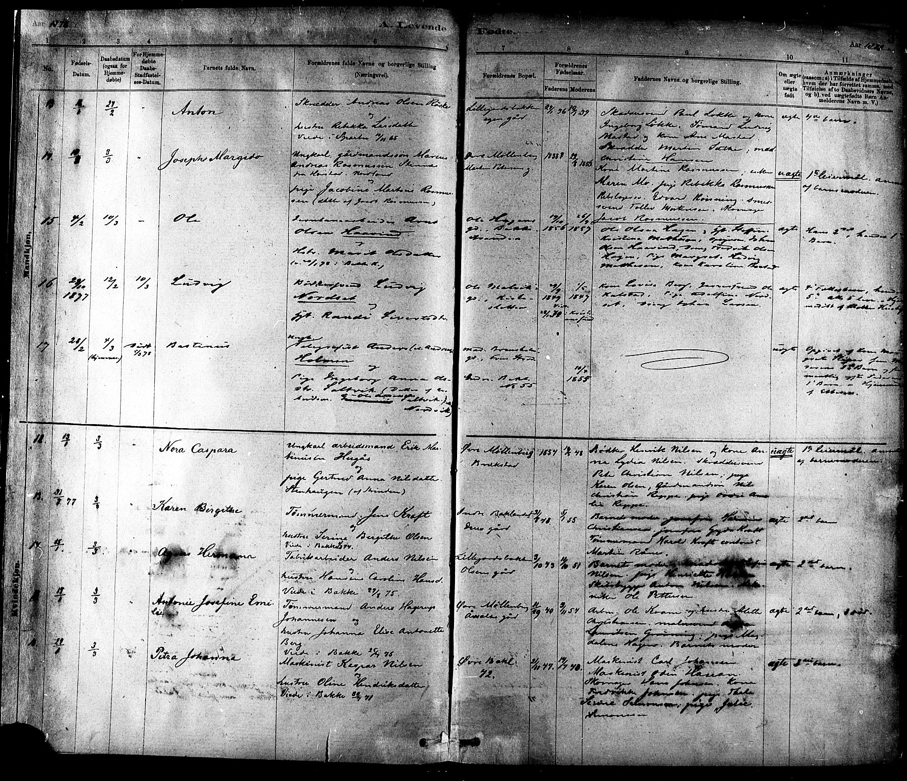 Ministerialprotokoller, klokkerbøker og fødselsregistre - Sør-Trøndelag, SAT/A-1456/604/L0188: Parish register (official) no. 604A09, 1878-1892, p. 3
