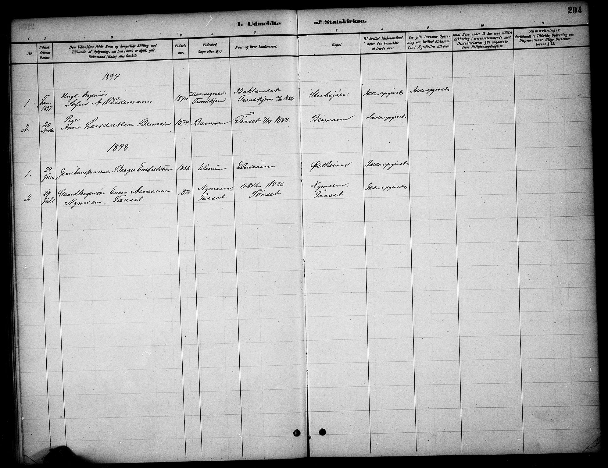 Tynset prestekontor, SAH/PREST-058/H/Ha/Hab/L0006: Parish register (copy) no. 6, 1880-1899, p. 294