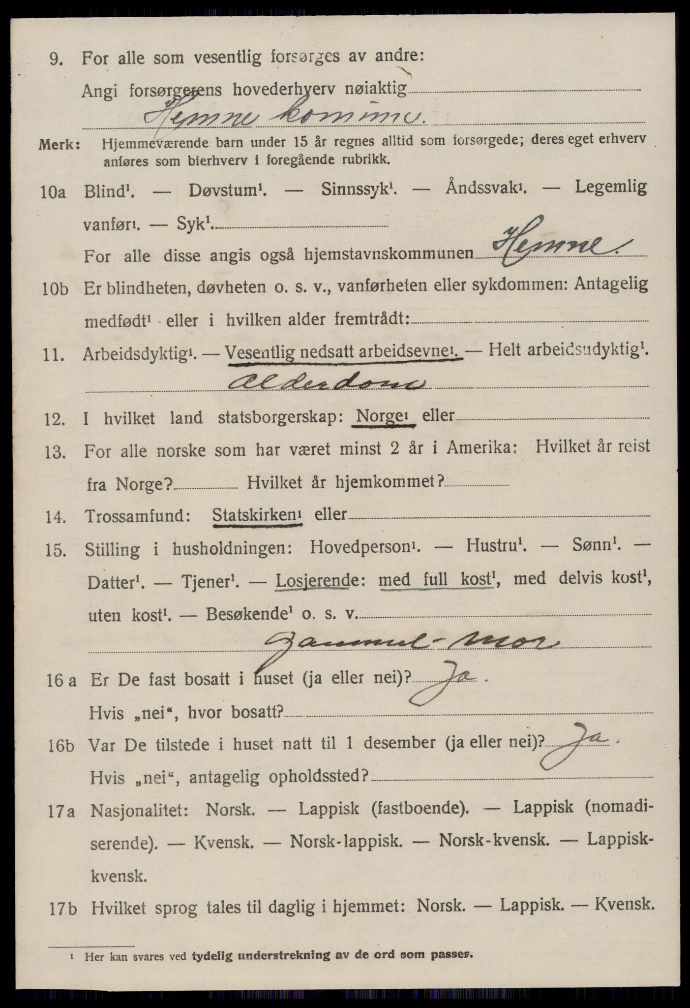 SAT, 1920 census for Hemne, 1920, p. 3993