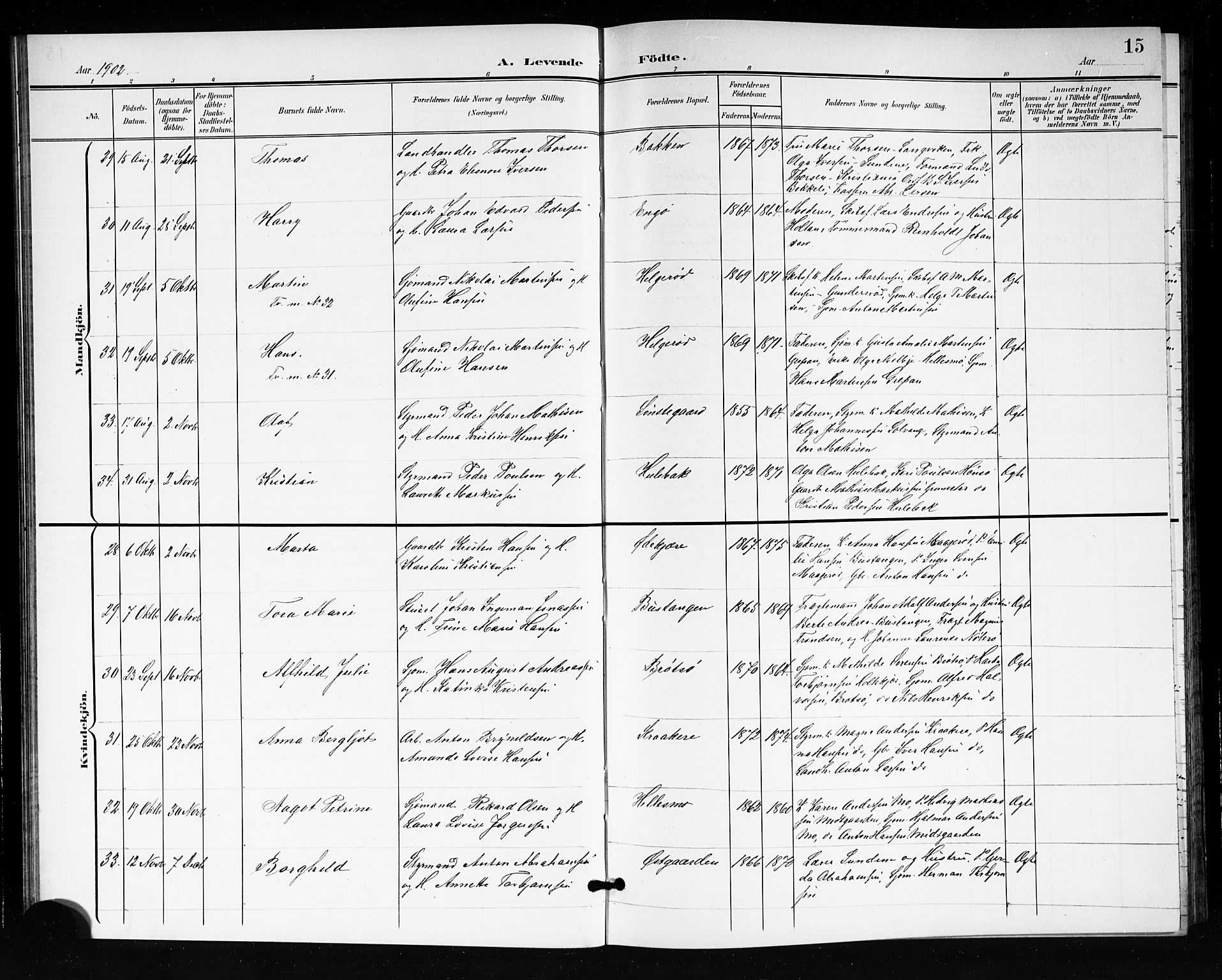 Tjøme kirkebøker, SAKO/A-328/G/Ga/L0001: Parish register (copy) no. 1, 1901-1910, p. 15