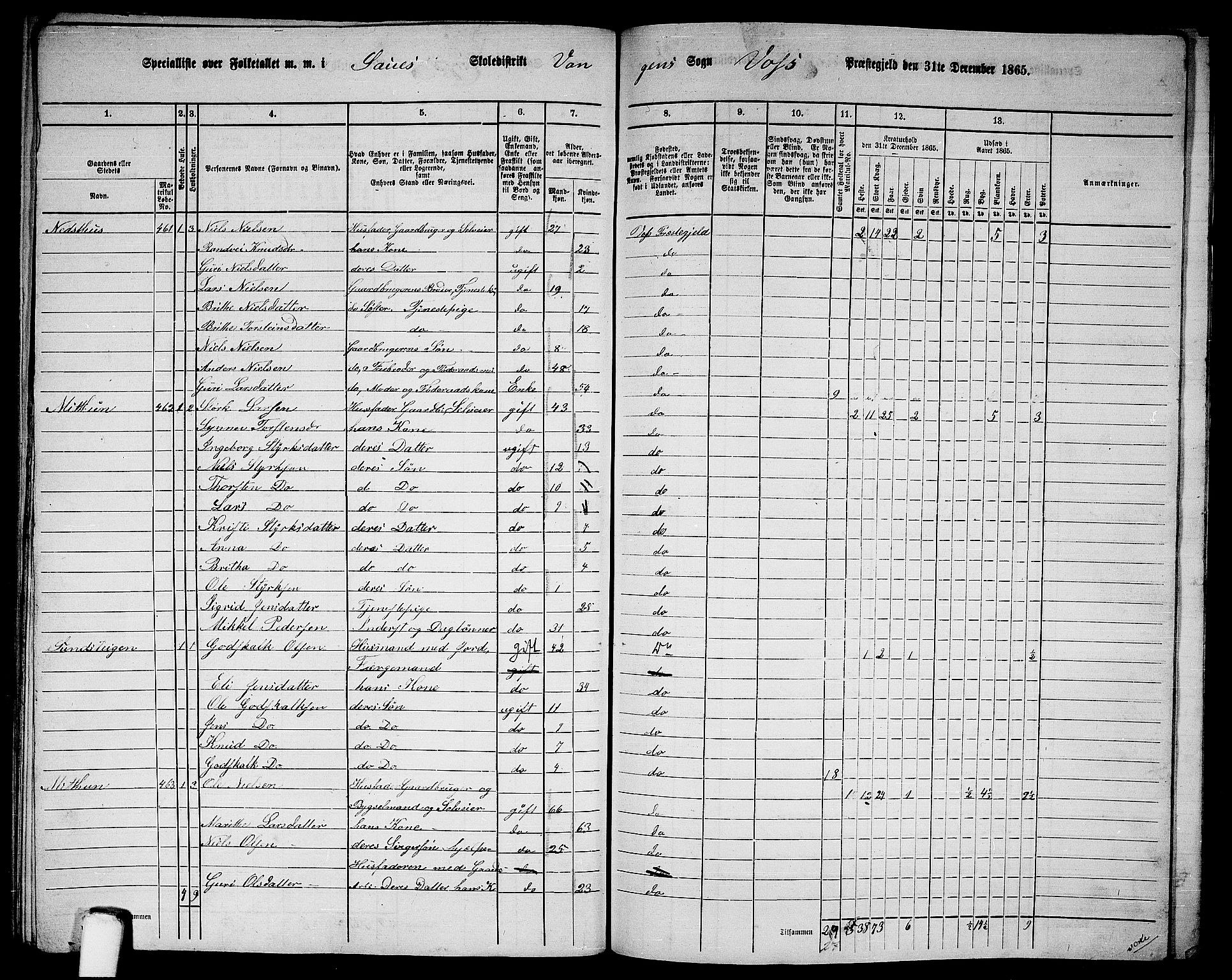 RA, 1865 census for Voss, 1865, p. 205
