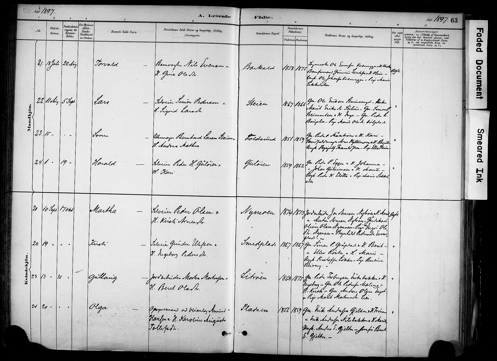 Alvdal prestekontor, AV/SAH-PREST-060/H/Ha/Haa/L0002: Parish register (official) no. 2, 1883-1906, p. 63