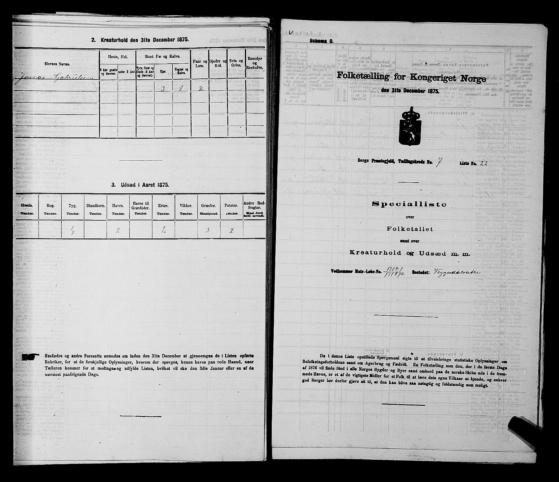 RA, 1875 census for 0116P Berg, 1875, p. 1163