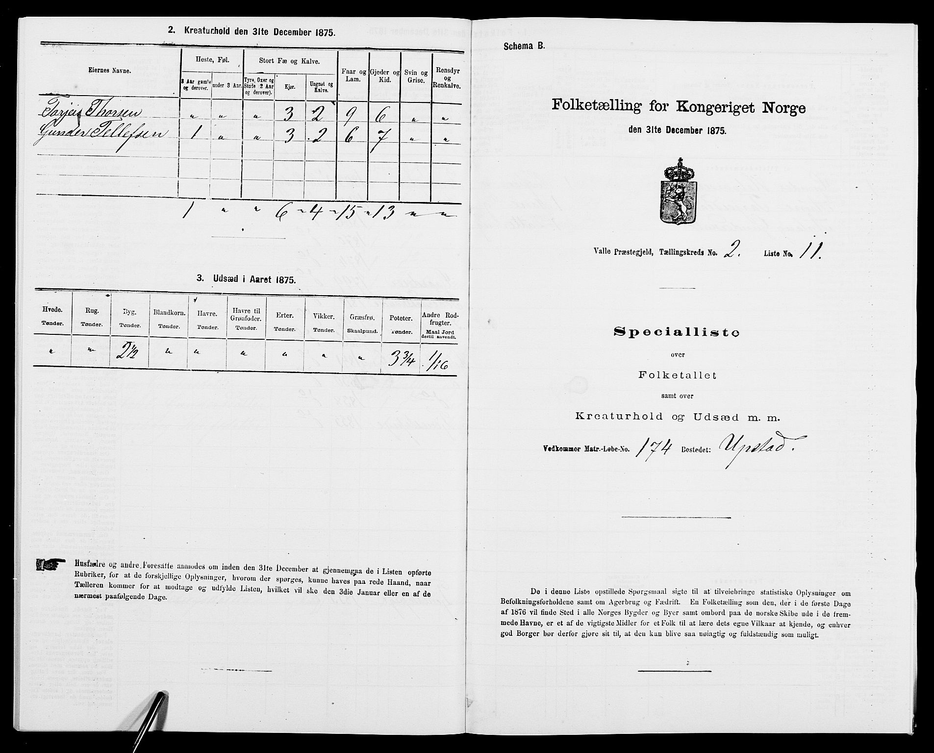 SAK, 1875 census for 0940P Valle, 1875, p. 171