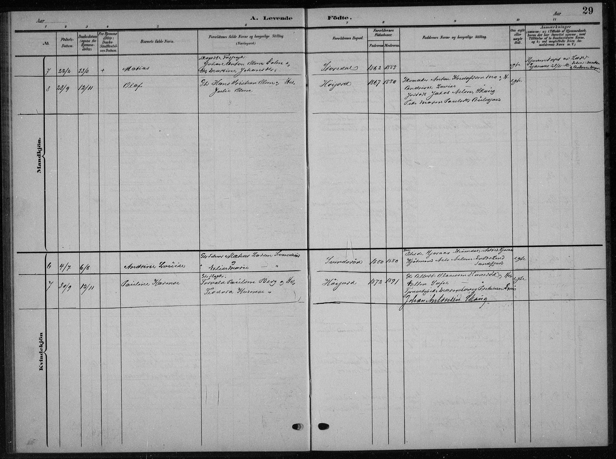 Andebu kirkebøker, AV/SAKO-A-336/G/Gb/L0001: Parish register (copy) no. II 1, 1901-1936, p. 29