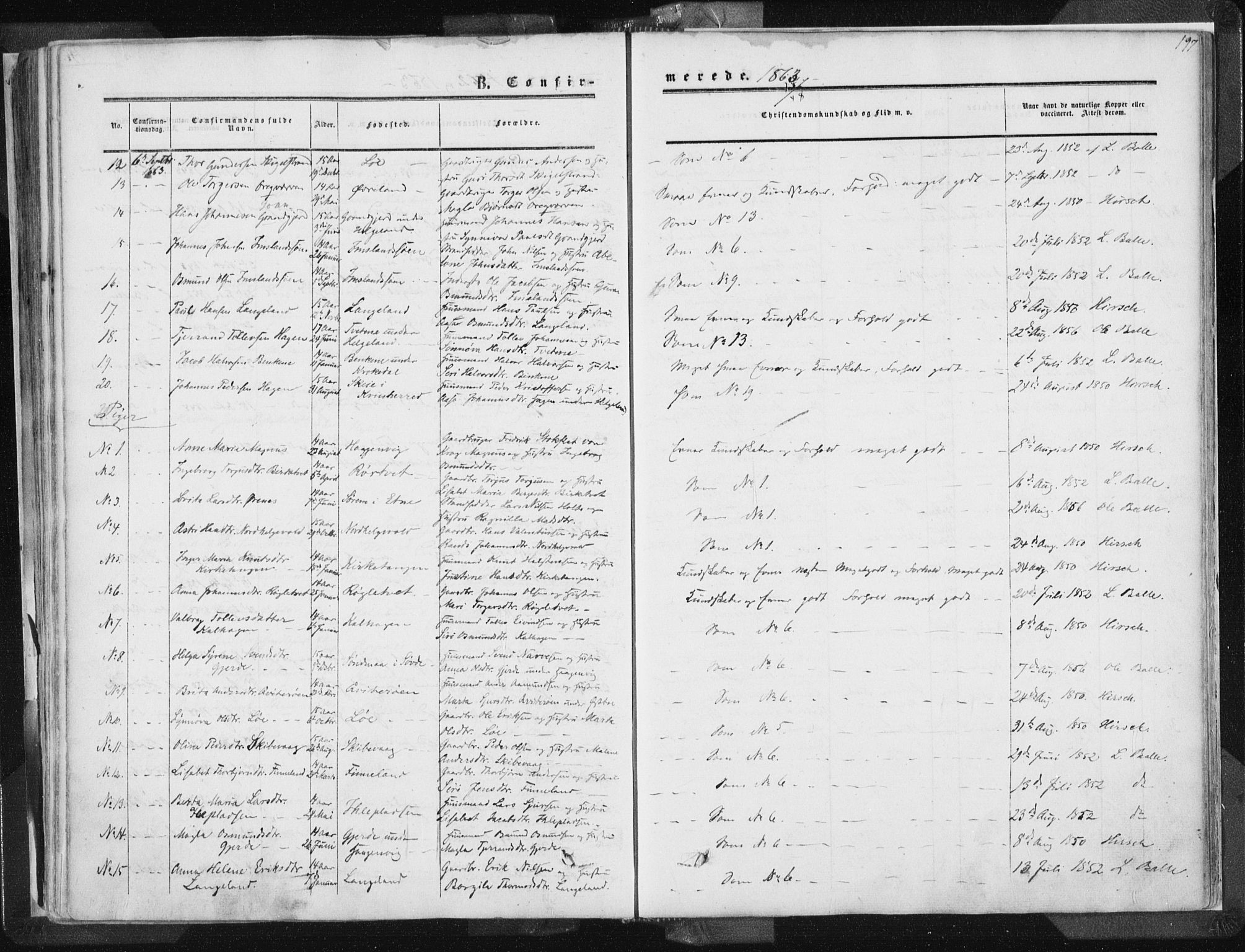 Vikedal sokneprestkontor, AV/SAST-A-101840/01/IV: Parish register (official) no. A 6.1, 1851-1867, p. 197