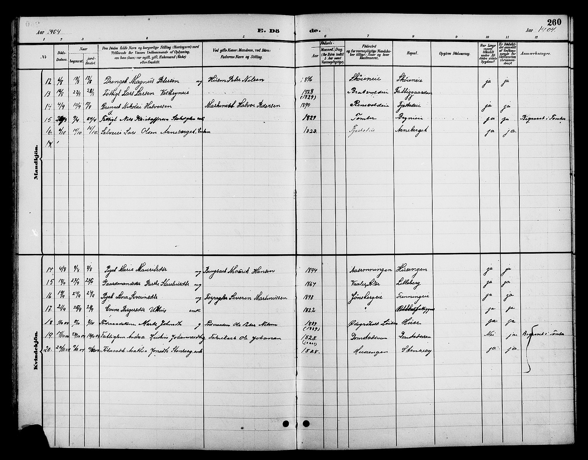 Romedal prestekontor, SAH/PREST-004/L/L0012: Parish register (copy) no. 12, 1896-1914, p. 260