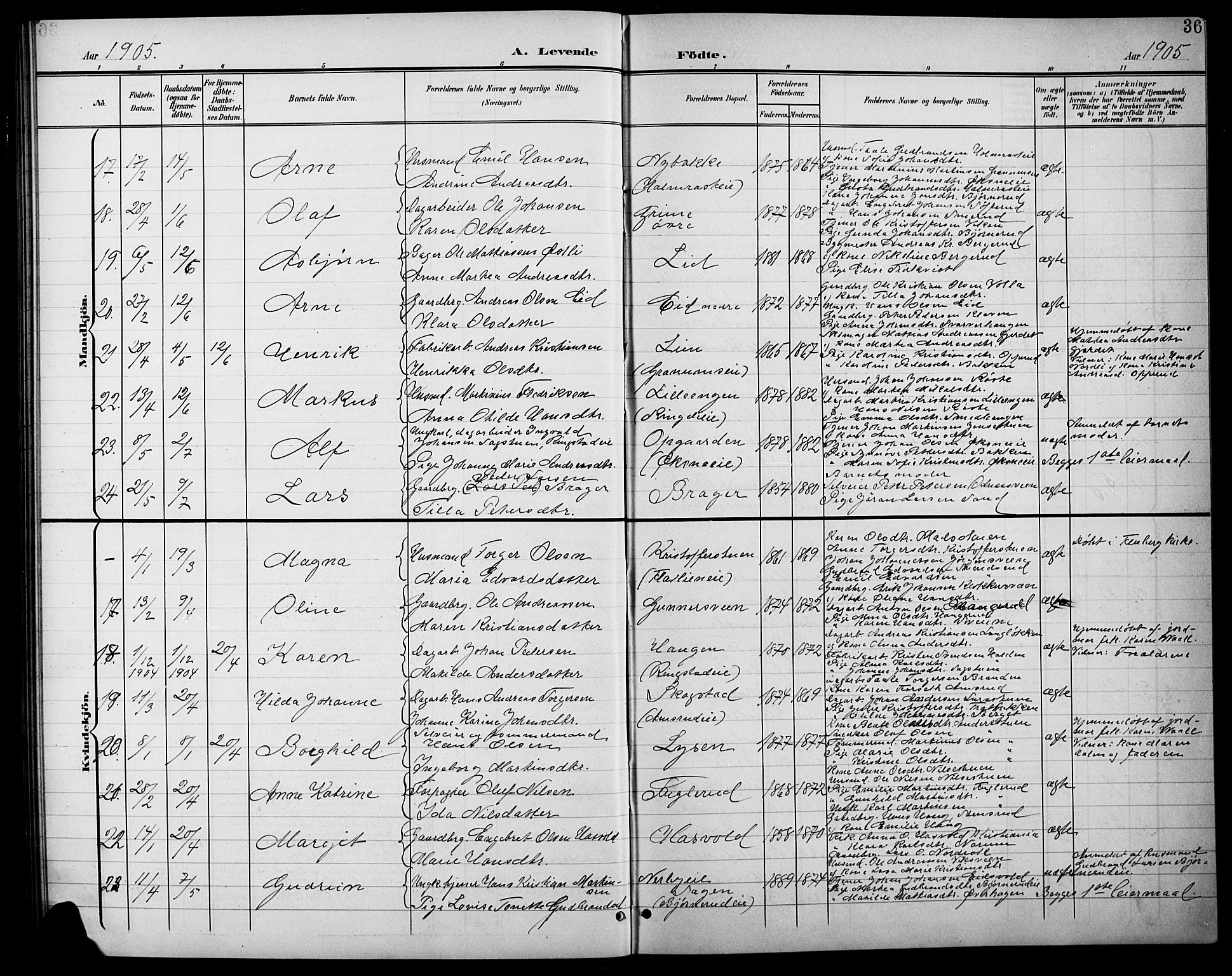 Søndre Land prestekontor, AV/SAH-PREST-122/L/L0004: Parish register (copy) no. 4, 1901-1915, p. 36