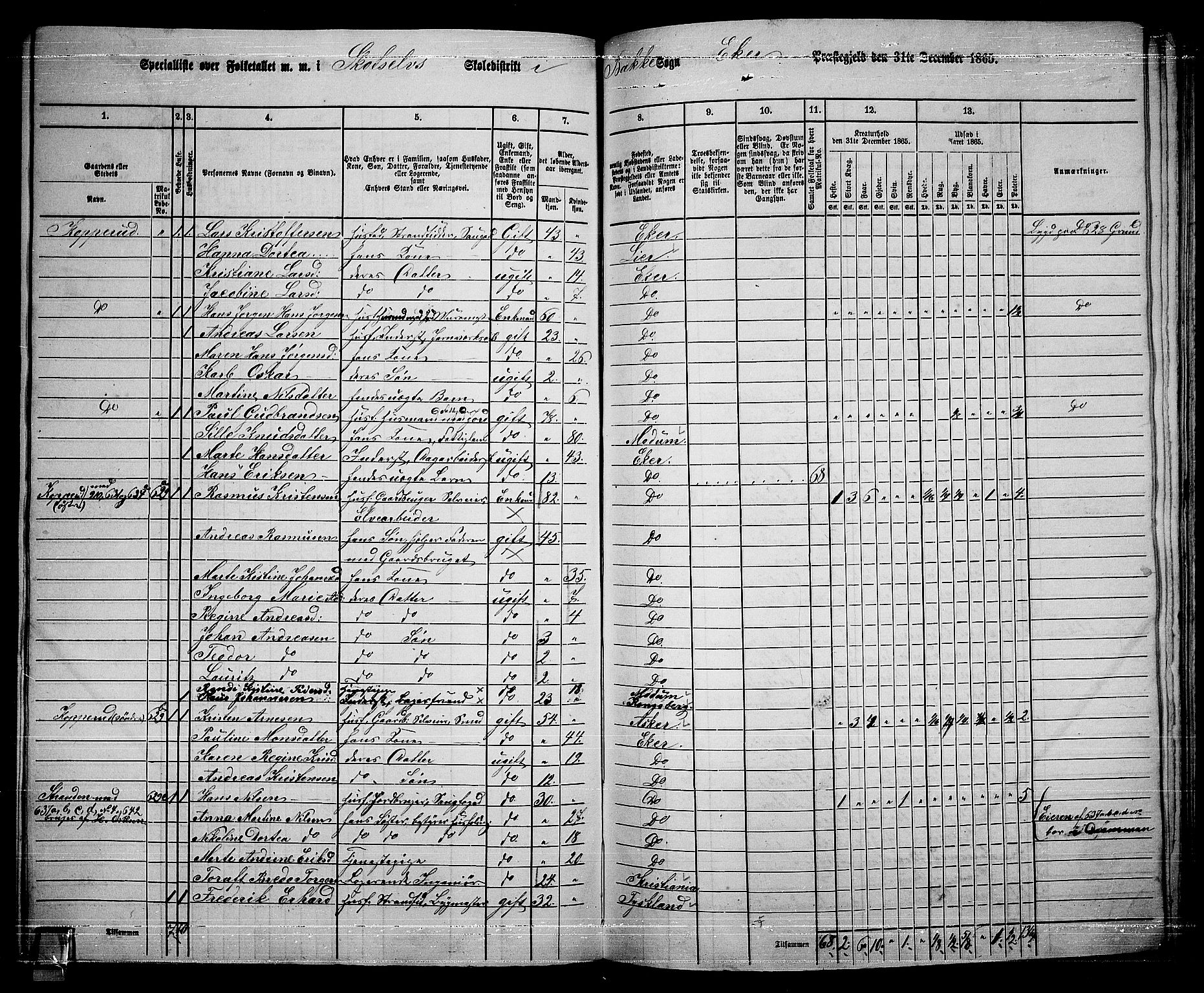 RA, 1865 census for Eiker, 1865, p. 481
