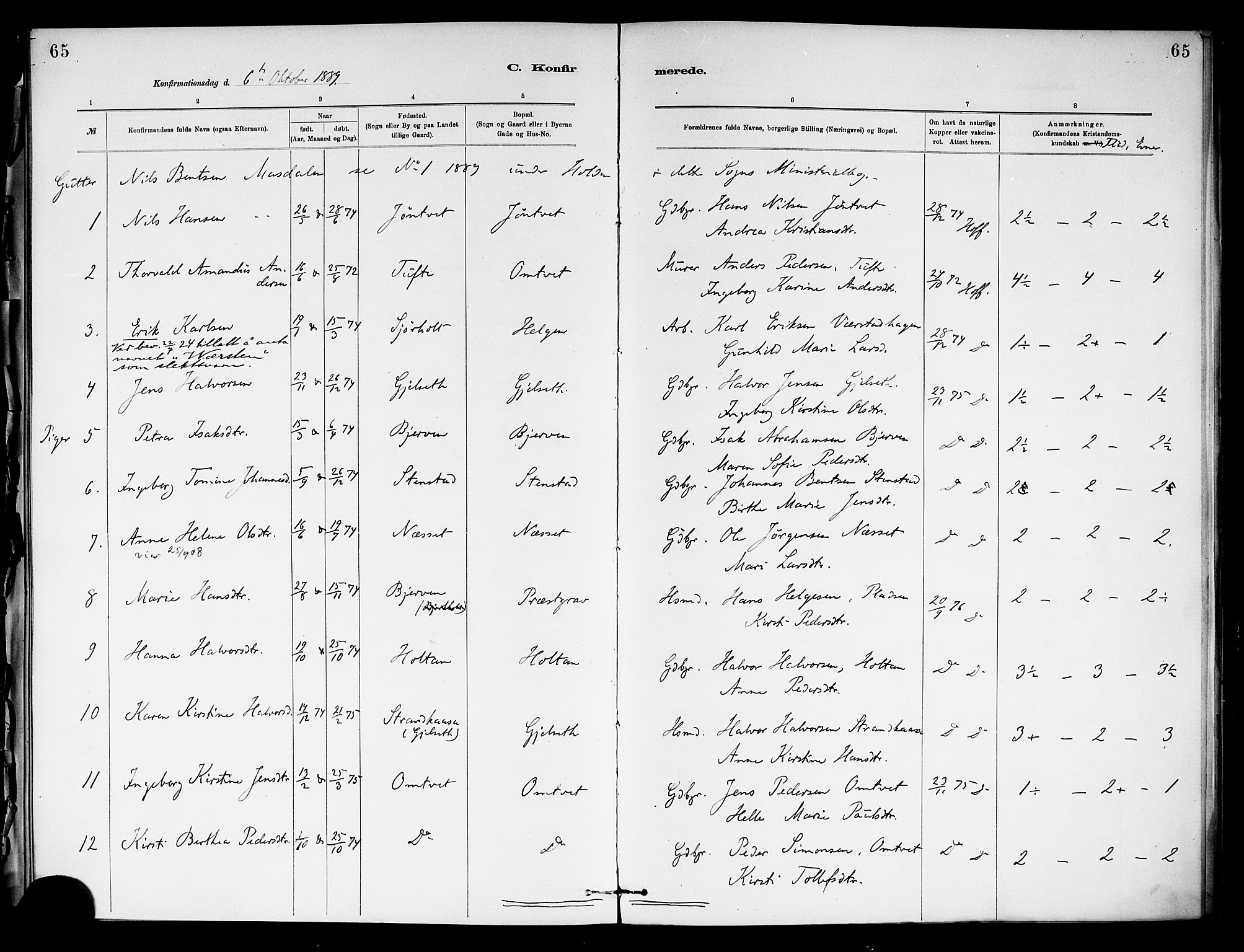 Holla kirkebøker, AV/SAKO-A-272/F/Fa/L0009: Parish register (official) no. 9, 1881-1897, p. 65