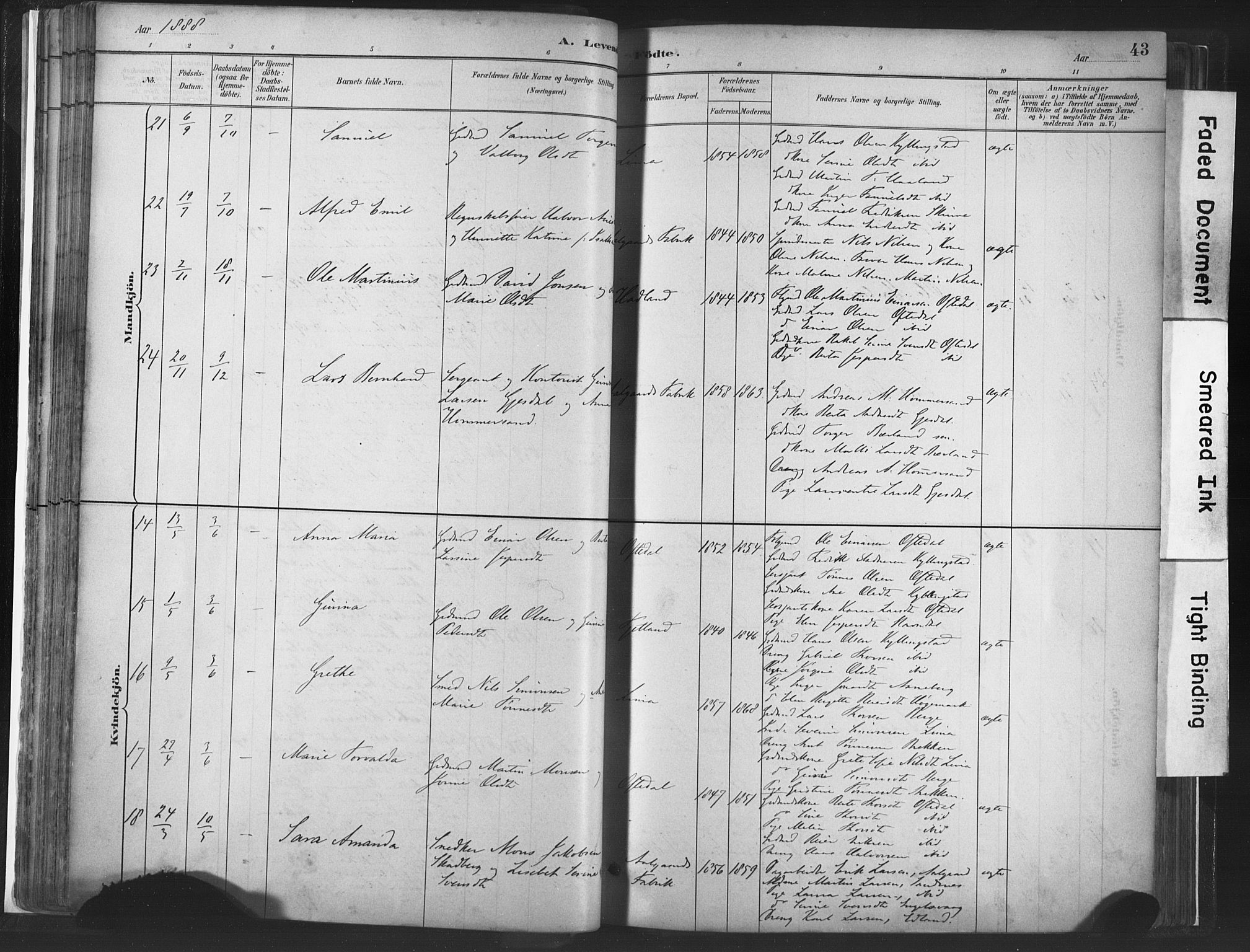 Lye sokneprestkontor, AV/SAST-A-101794/001/30BA/L0010: Parish register (official) no. A 10, 1881-1896, p. 43