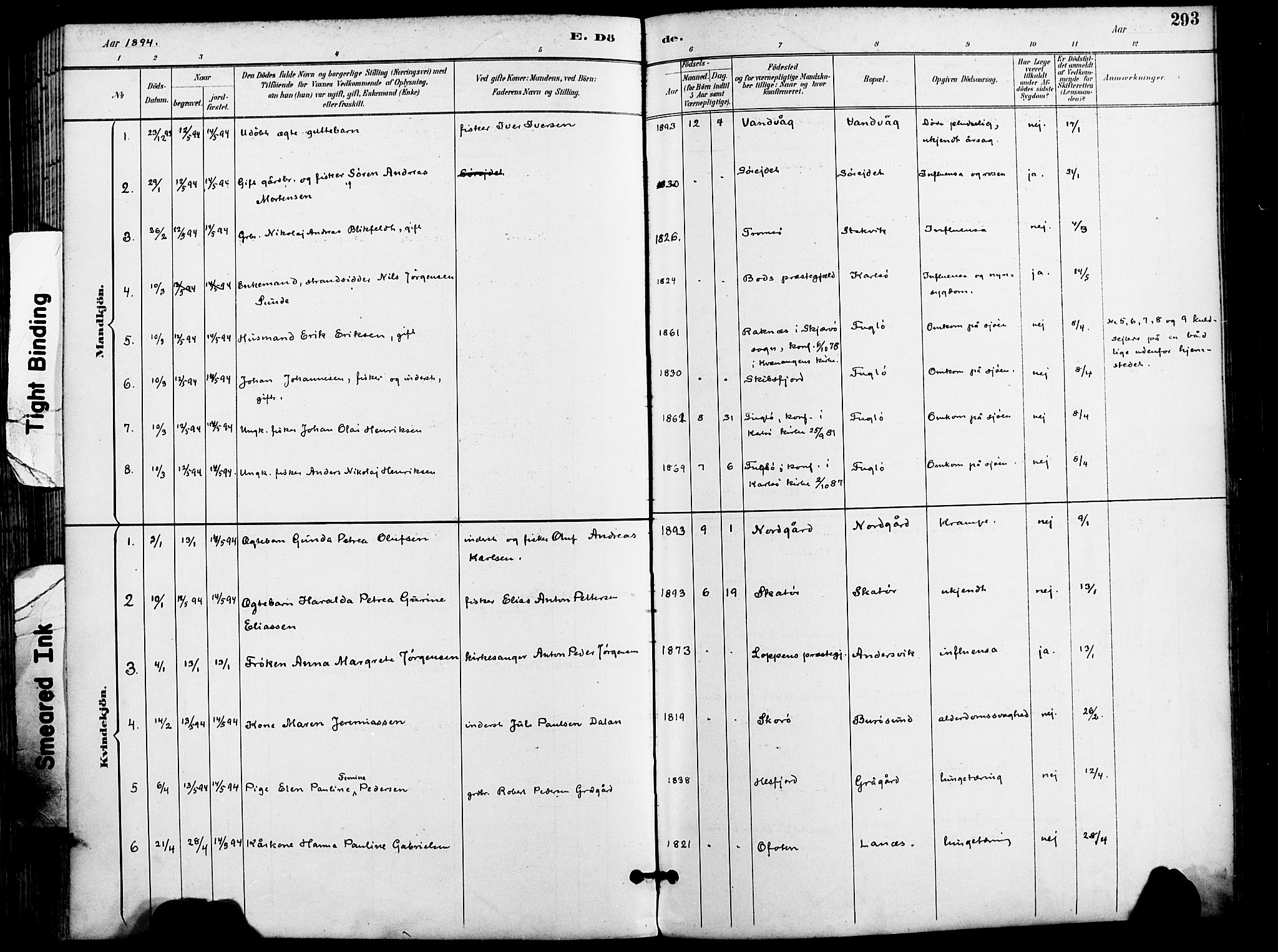 Karlsøy sokneprestembete, AV/SATØ-S-1299/H/Ha/Haa/L0007kirke: Parish register (official) no. 7, 1891-1902, p. 293