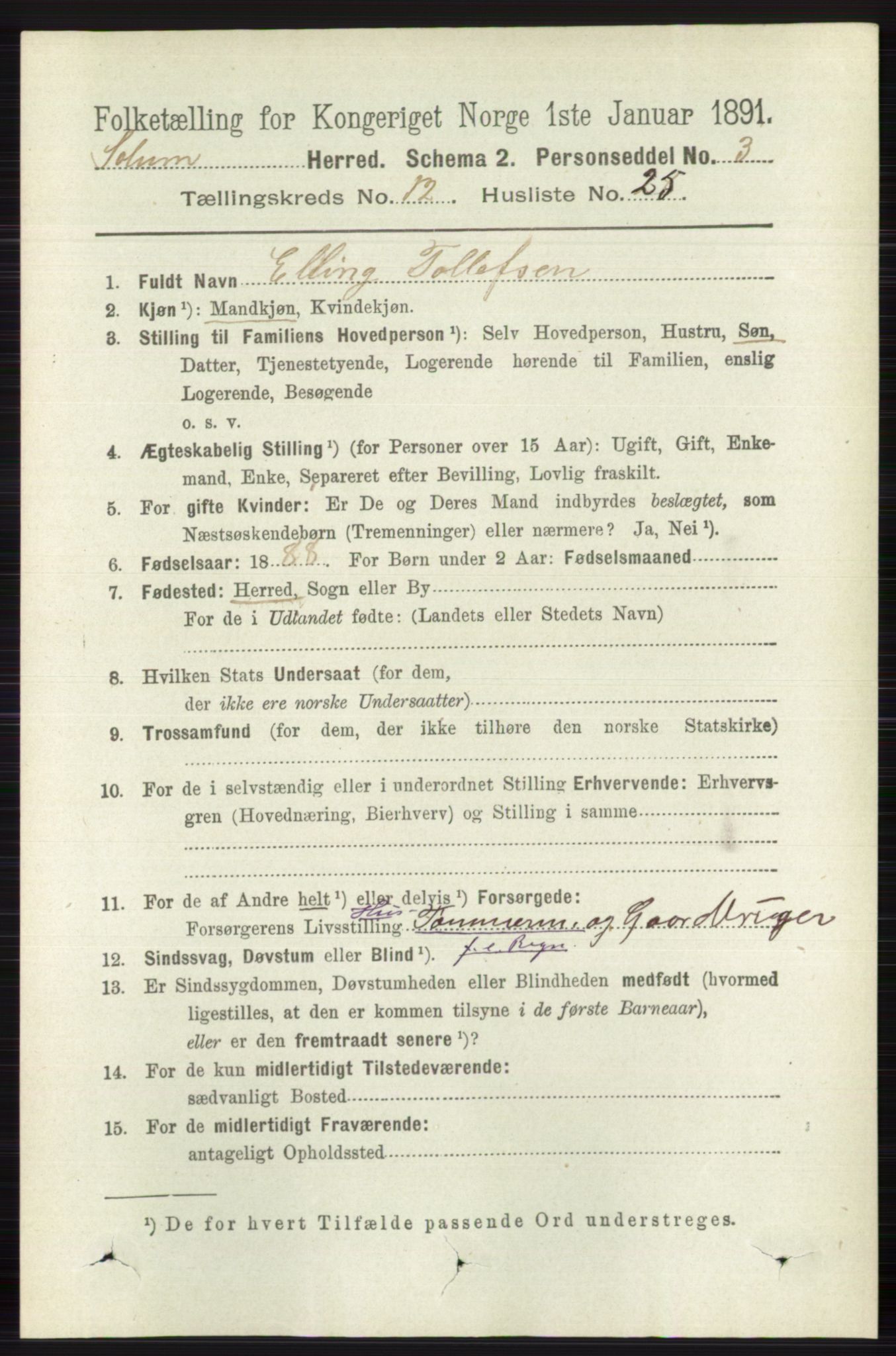 RA, 1891 census for 0818 Solum, 1891, p. 5733