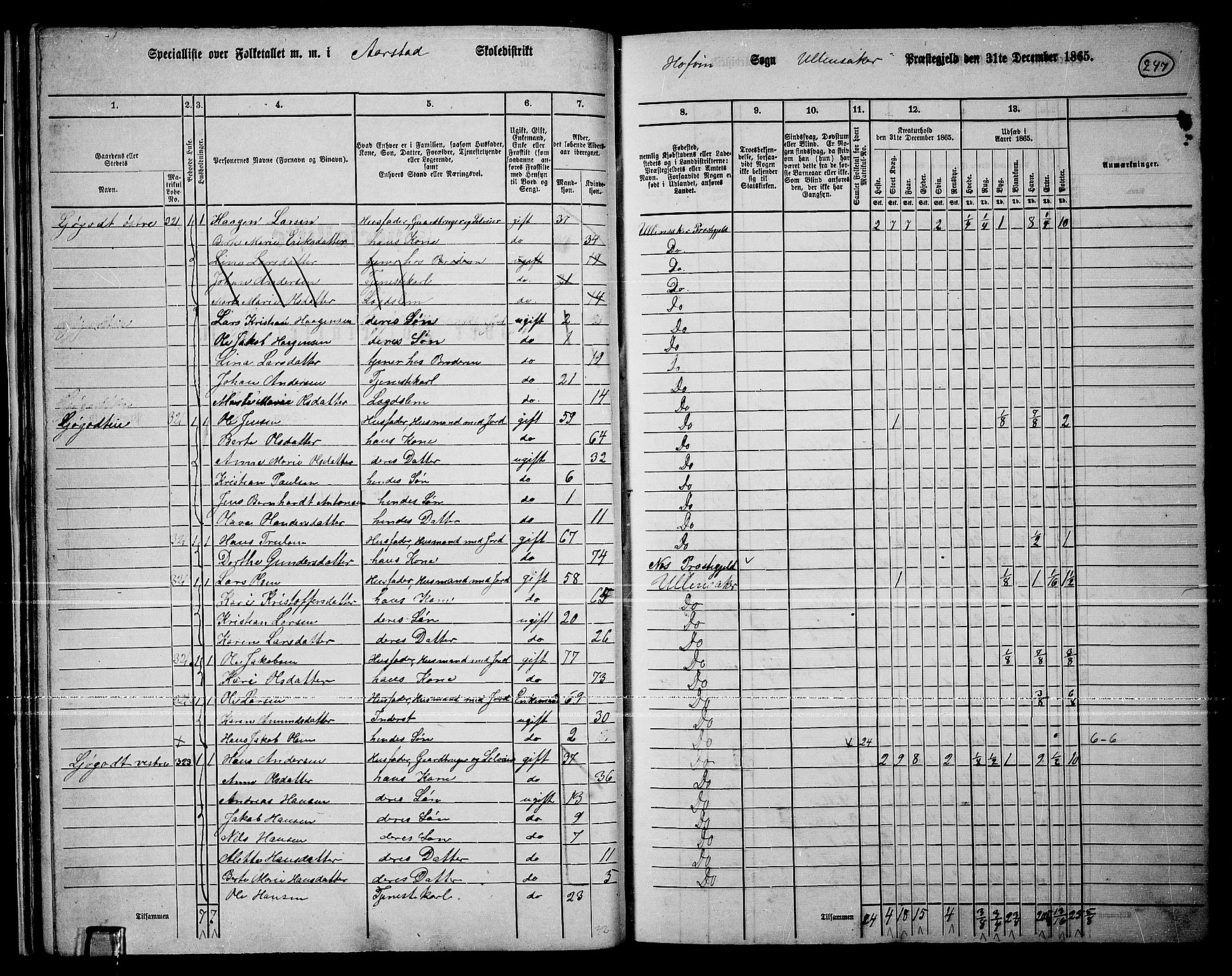 RA, 1865 census for Ullensaker, 1865, p. 219