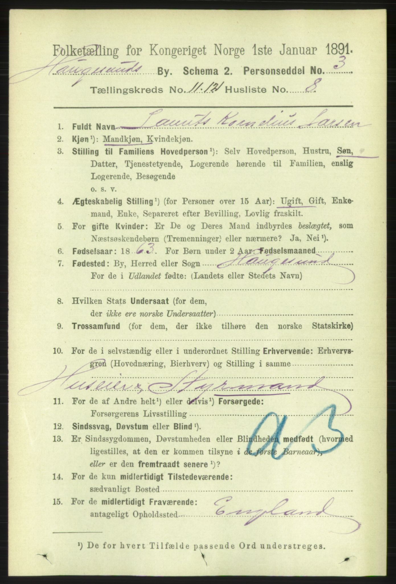 RA, 1891 census for 1106 Haugesund, 1891, p. 4028