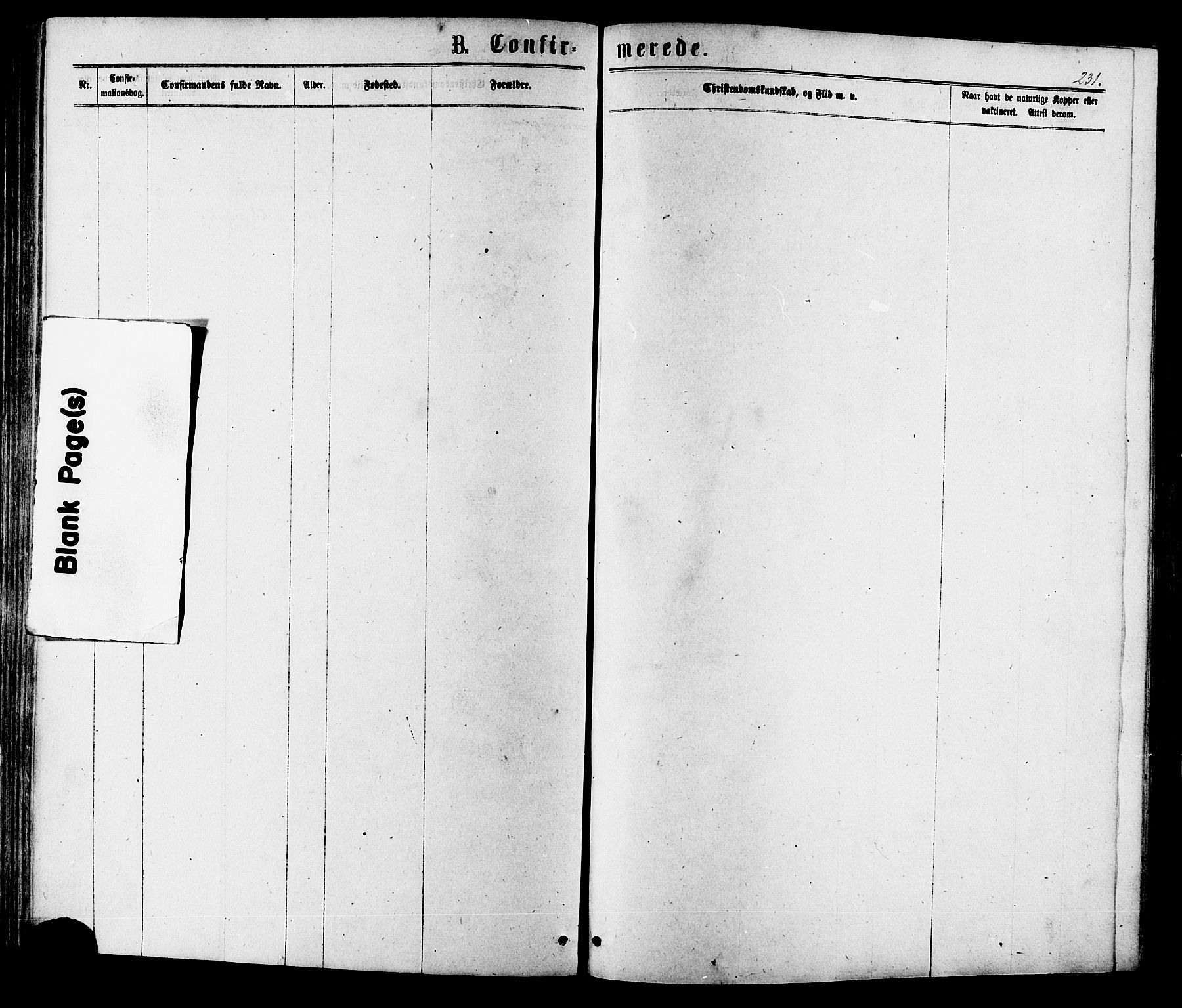 Ministerialprotokoller, klokkerbøker og fødselsregistre - Sør-Trøndelag, SAT/A-1456/630/L0495: Parish register (official) no. 630A08, 1868-1878, p. 231