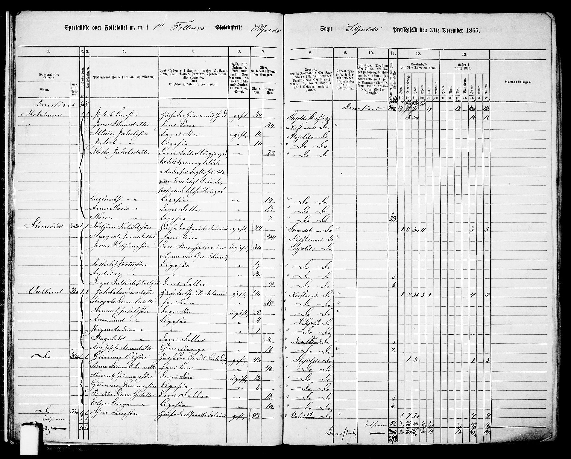 RA, 1865 census for Skjold, 1865, p. 21