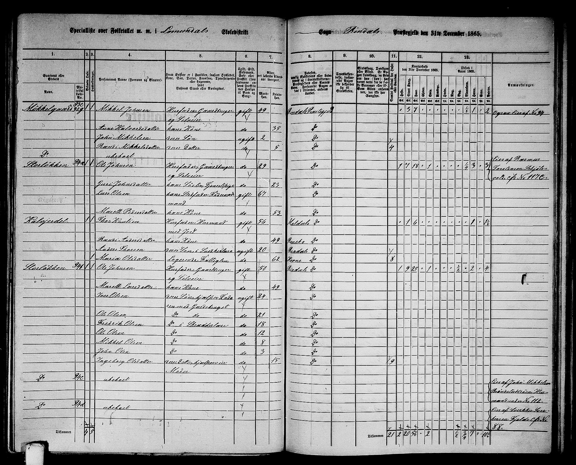 RA, 1865 census for Rindal, 1865, p. 19