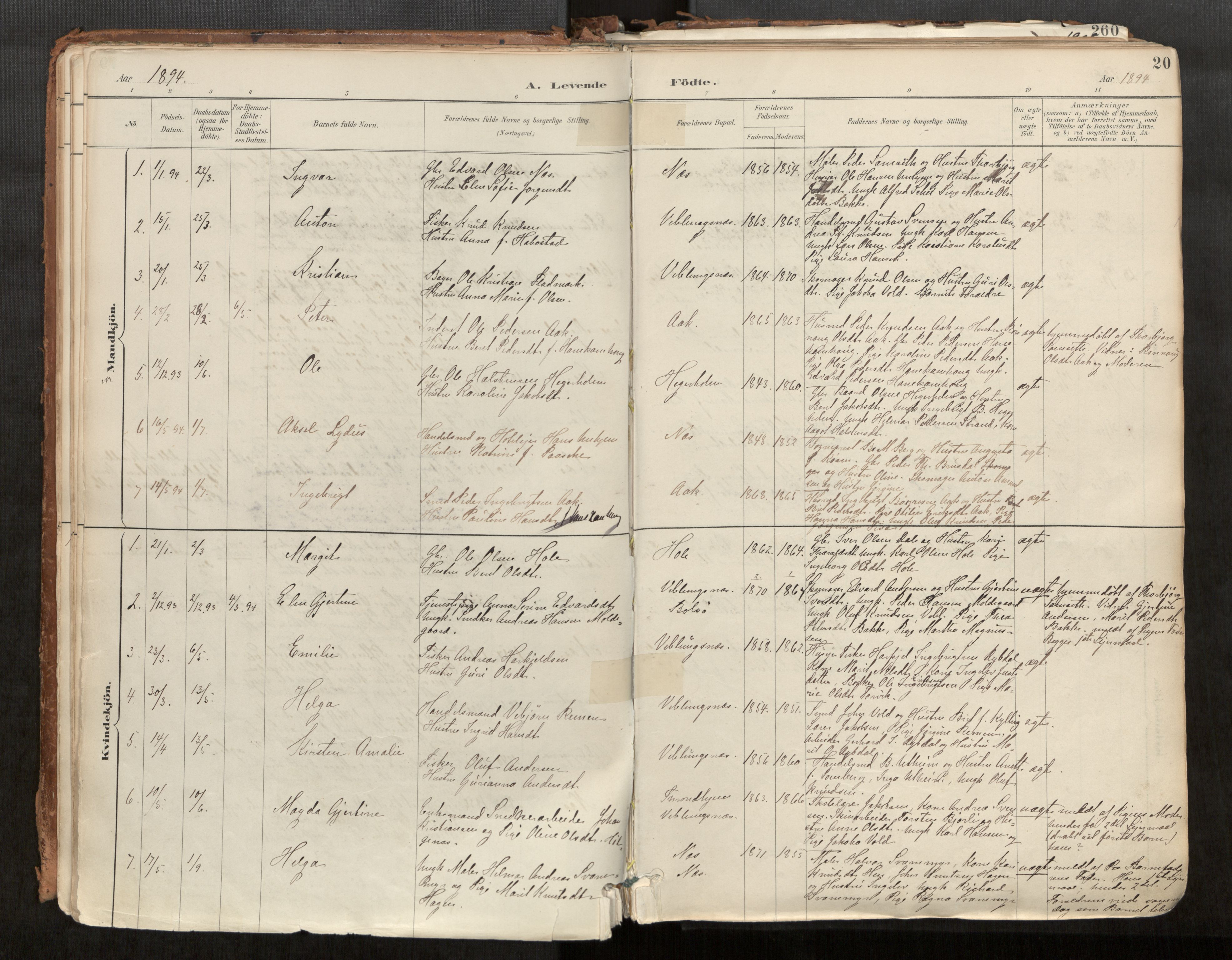 Ministerialprotokoller, klokkerbøker og fødselsregistre - Møre og Romsdal, SAT/A-1454/544/L0585: Parish register (official) no. 544A06, 1887-1924, p. 20