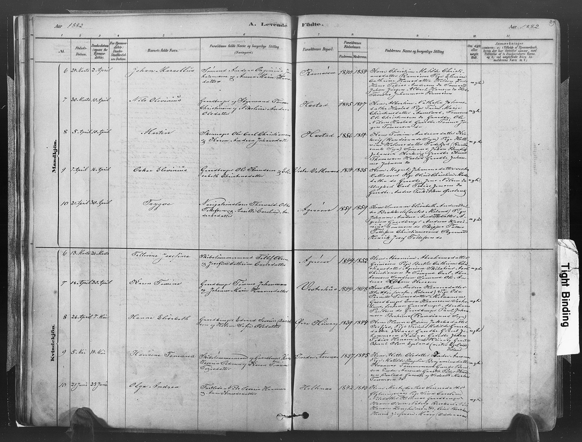 Høvåg sokneprestkontor, AV/SAK-1111-0025/F/Fa/L0005: Parish register (official) no. A 5, 1878-1893, p. 29