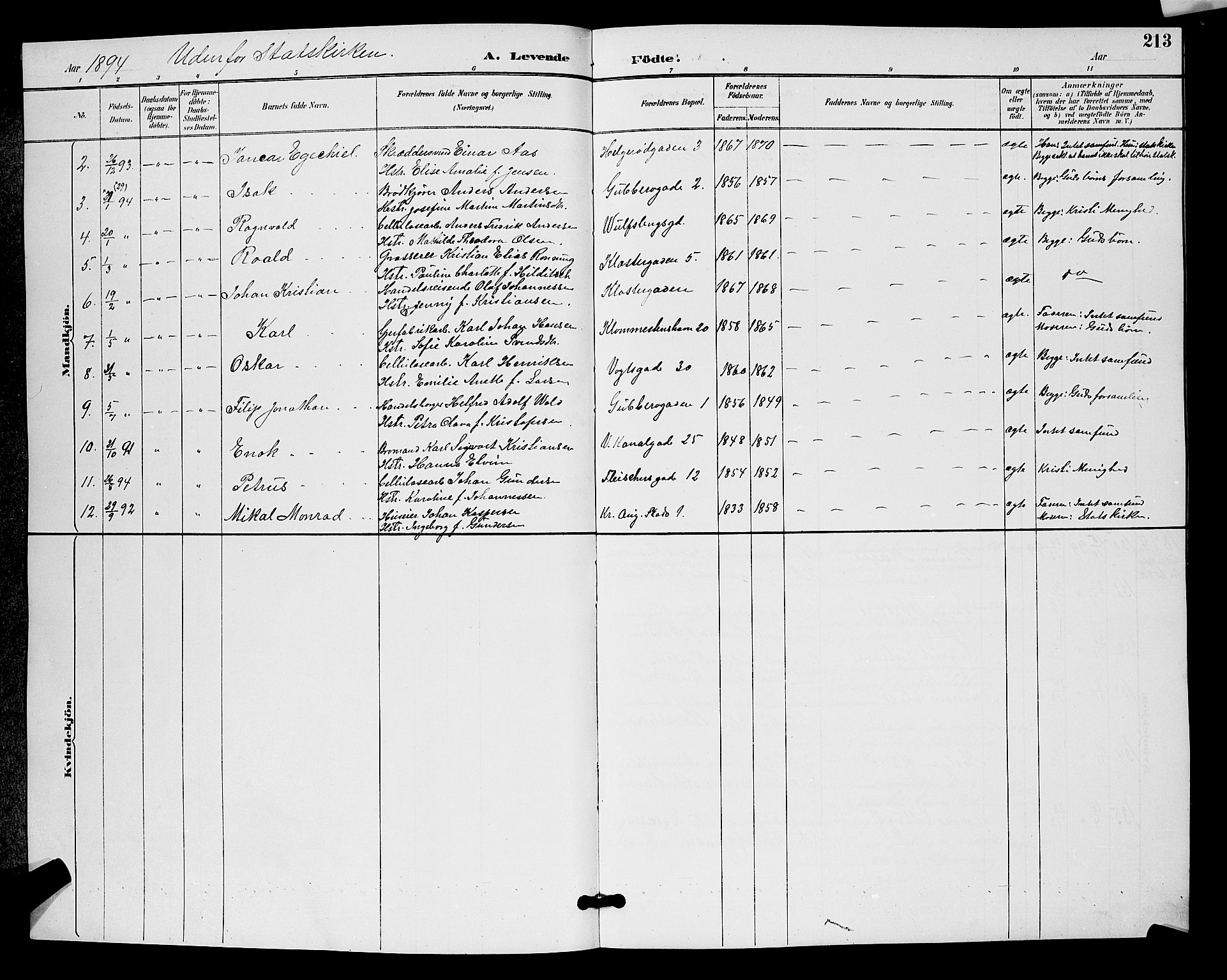 Moss prestekontor Kirkebøker, AV/SAO-A-2003/G/Ga/L0006: Parish register (copy) no. I 6, 1889-1900, p. 213