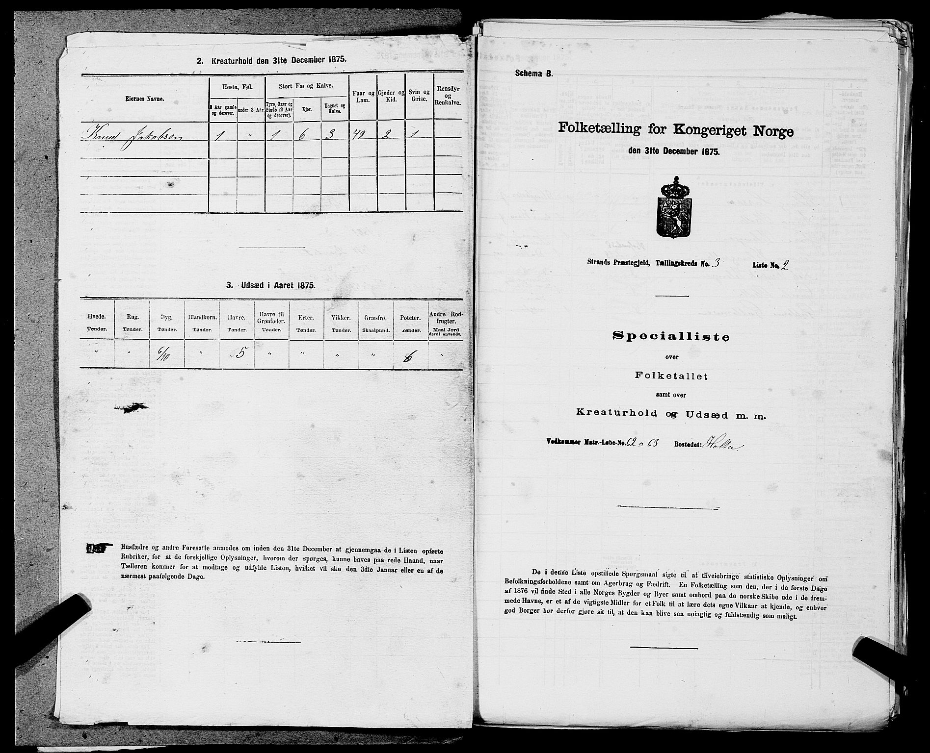 SAST, 1875 census for 1130P Strand, 1875, p. 249