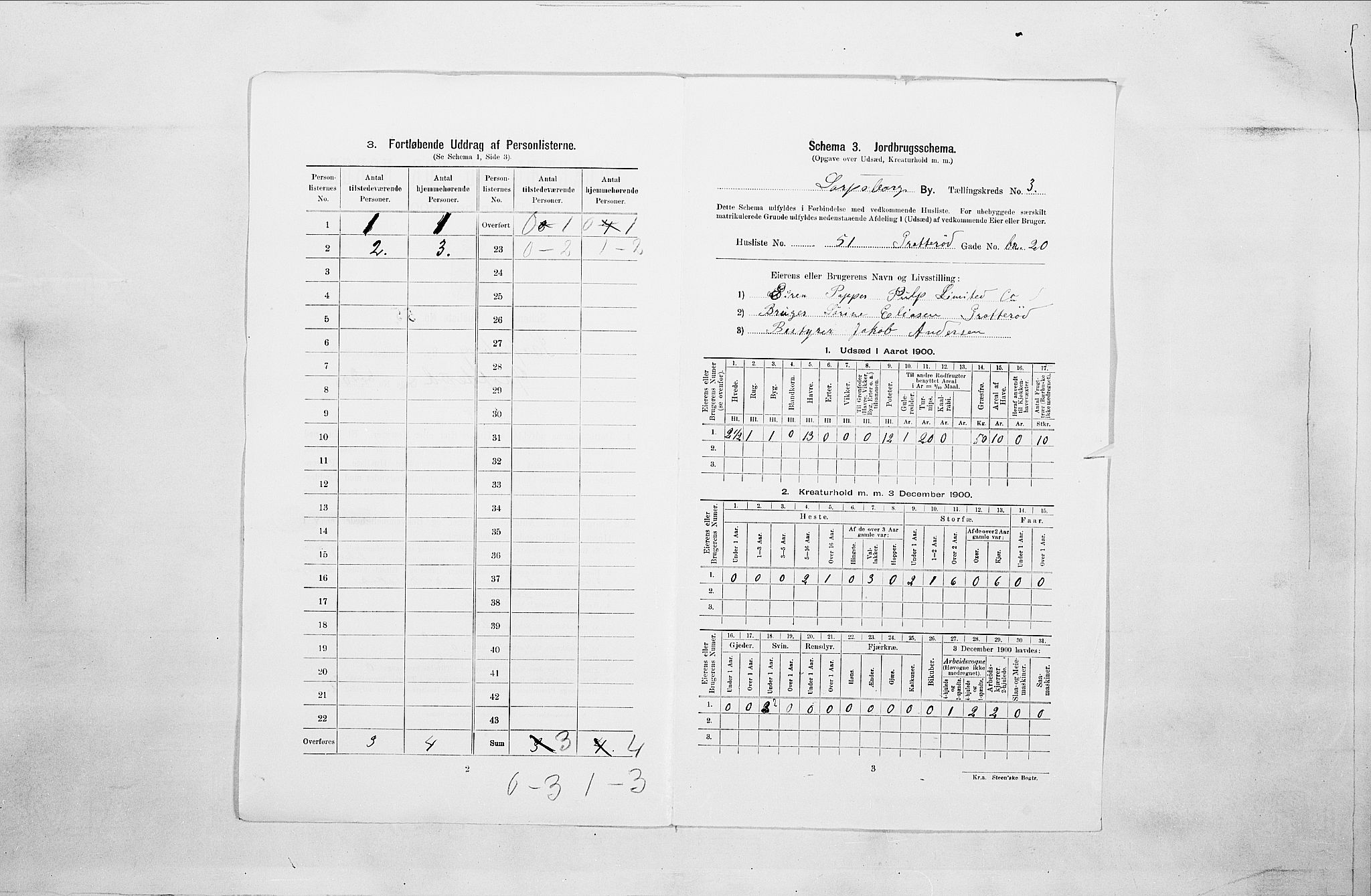 SAO, 1900 census for Sarpsborg, 1900