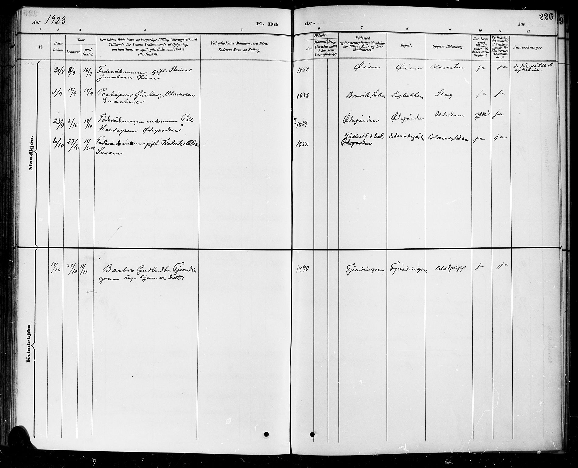 Sel prestekontor, SAH/PREST-074/H/Ha/Hab/L0005: Parish register (copy) no. 5, 1894-1923, p. 226