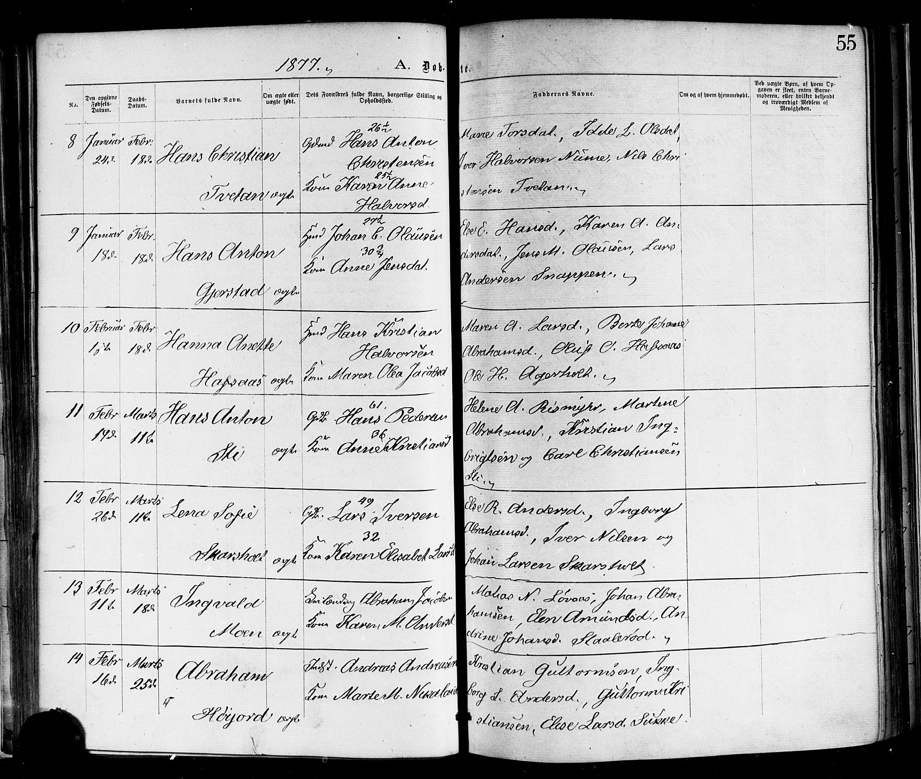 Andebu kirkebøker, AV/SAKO-A-336/F/Fa/L0006: Parish register (official) no. I 6, 1871-1878, p. 55