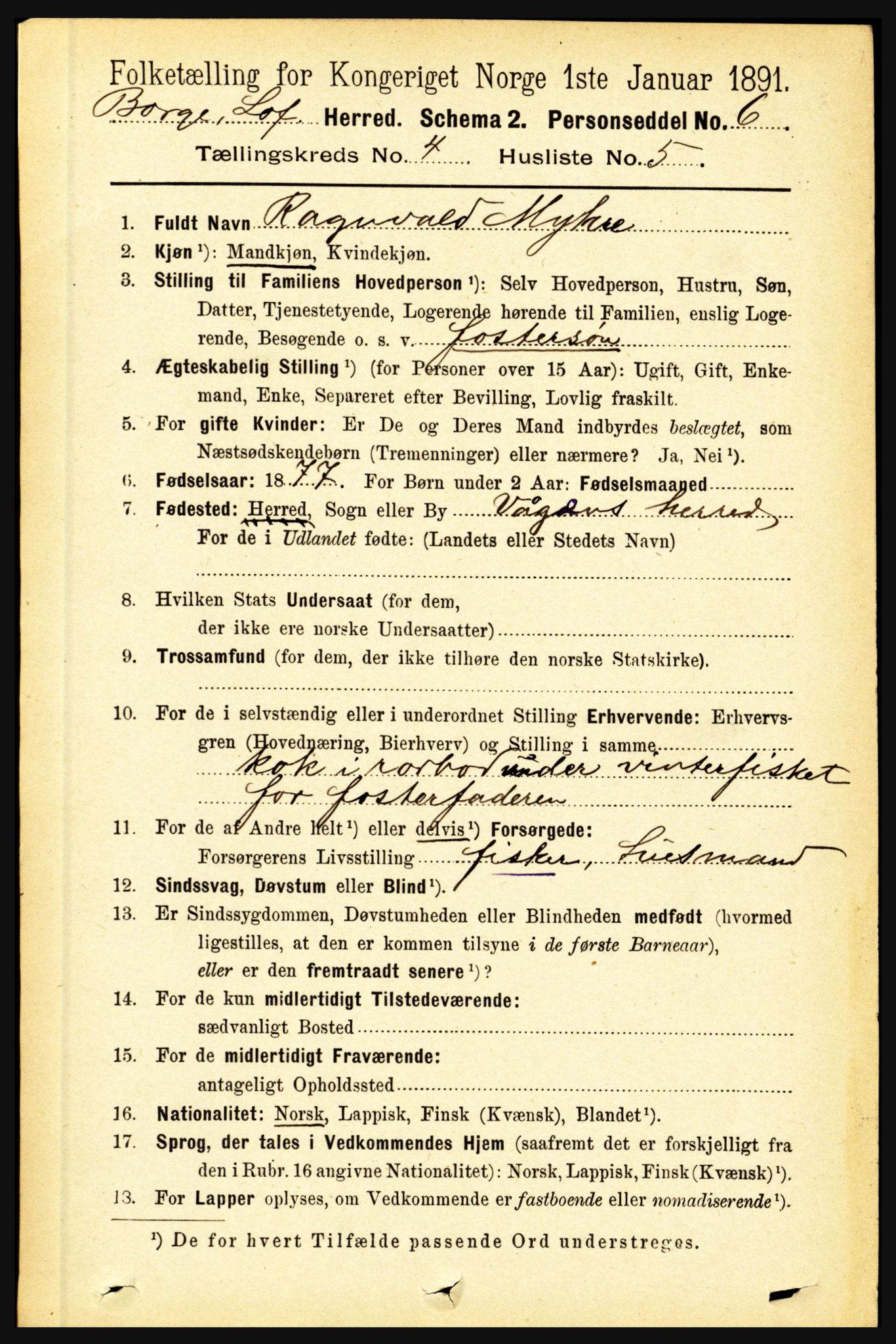 RA, 1891 census for 1862 Borge, 1891, p. 2196