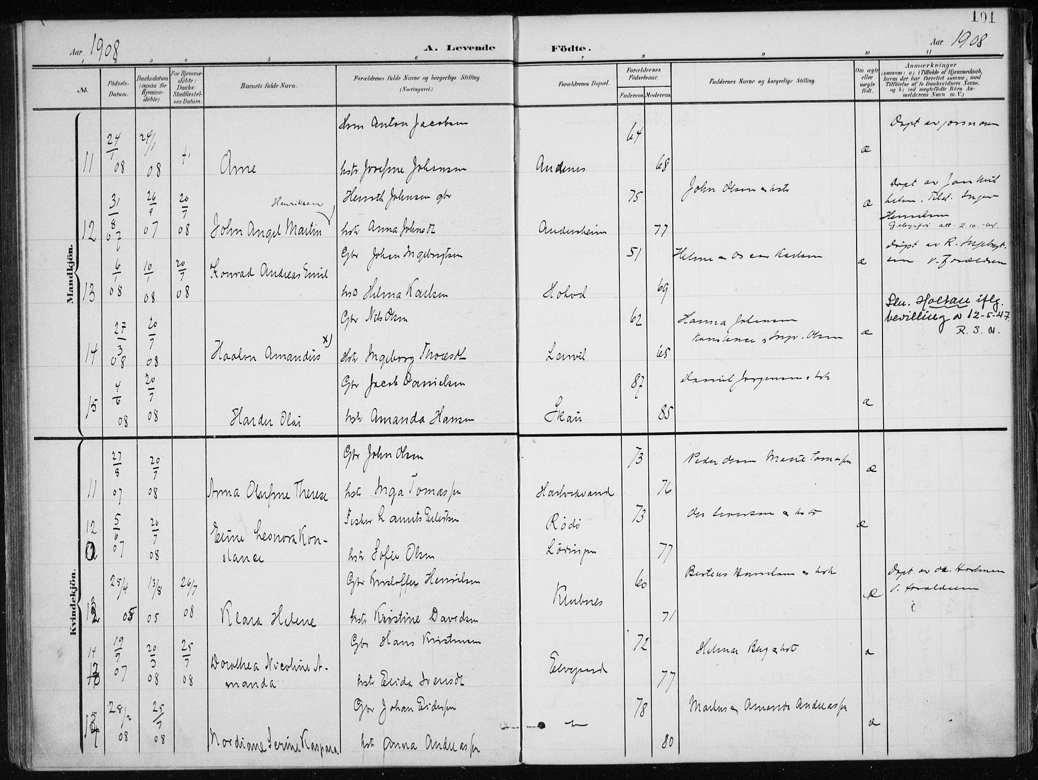 Ministerialprotokoller, klokkerbøker og fødselsregistre - Nordland, AV/SAT-A-1459/866/L0941: Parish register (official) no. 866A04, 1901-1917, p. 101