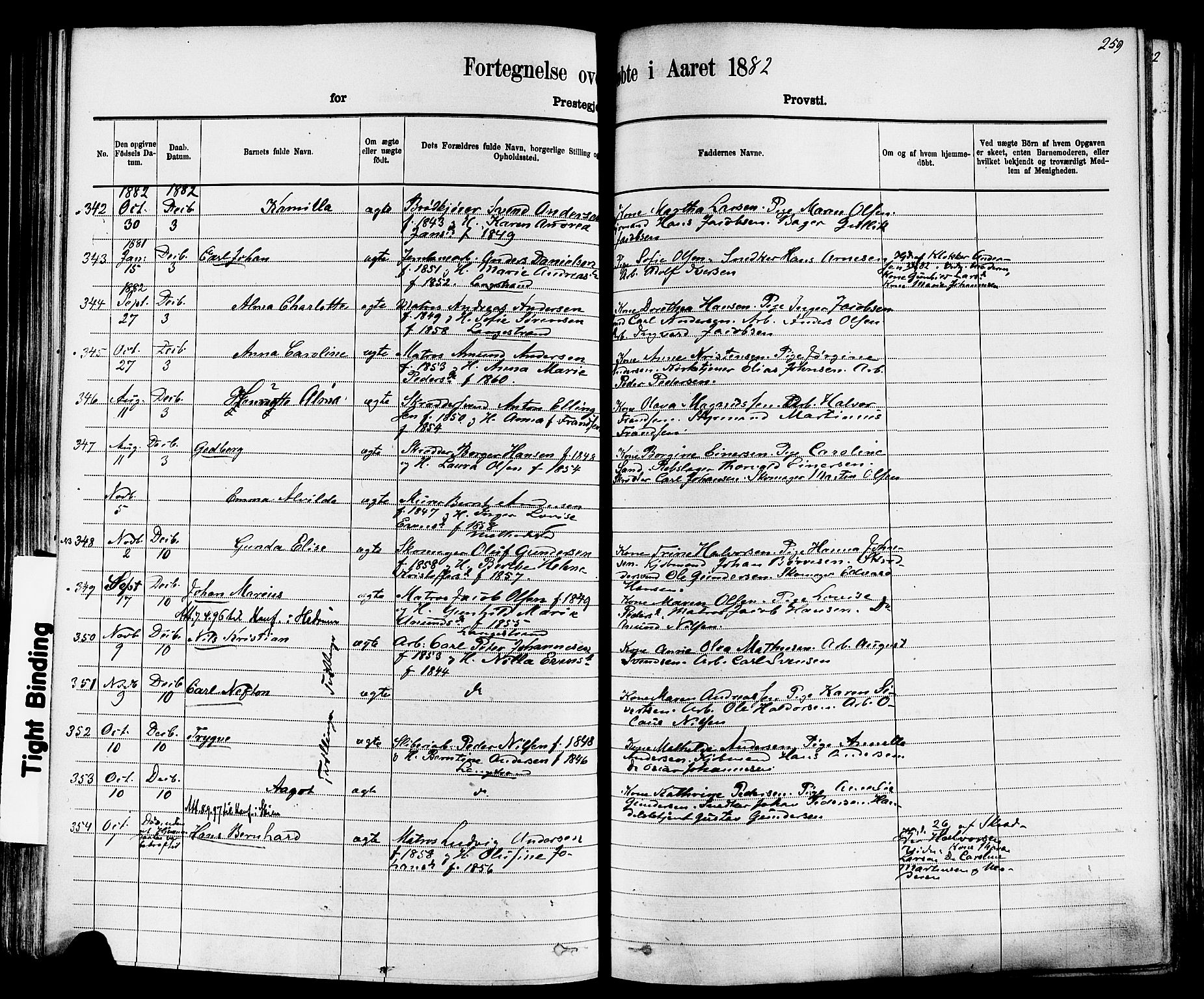 Larvik kirkebøker, AV/SAKO-A-352/F/Fa/L0006: Parish register (official) no. I 6, 1871-1883, p. 259