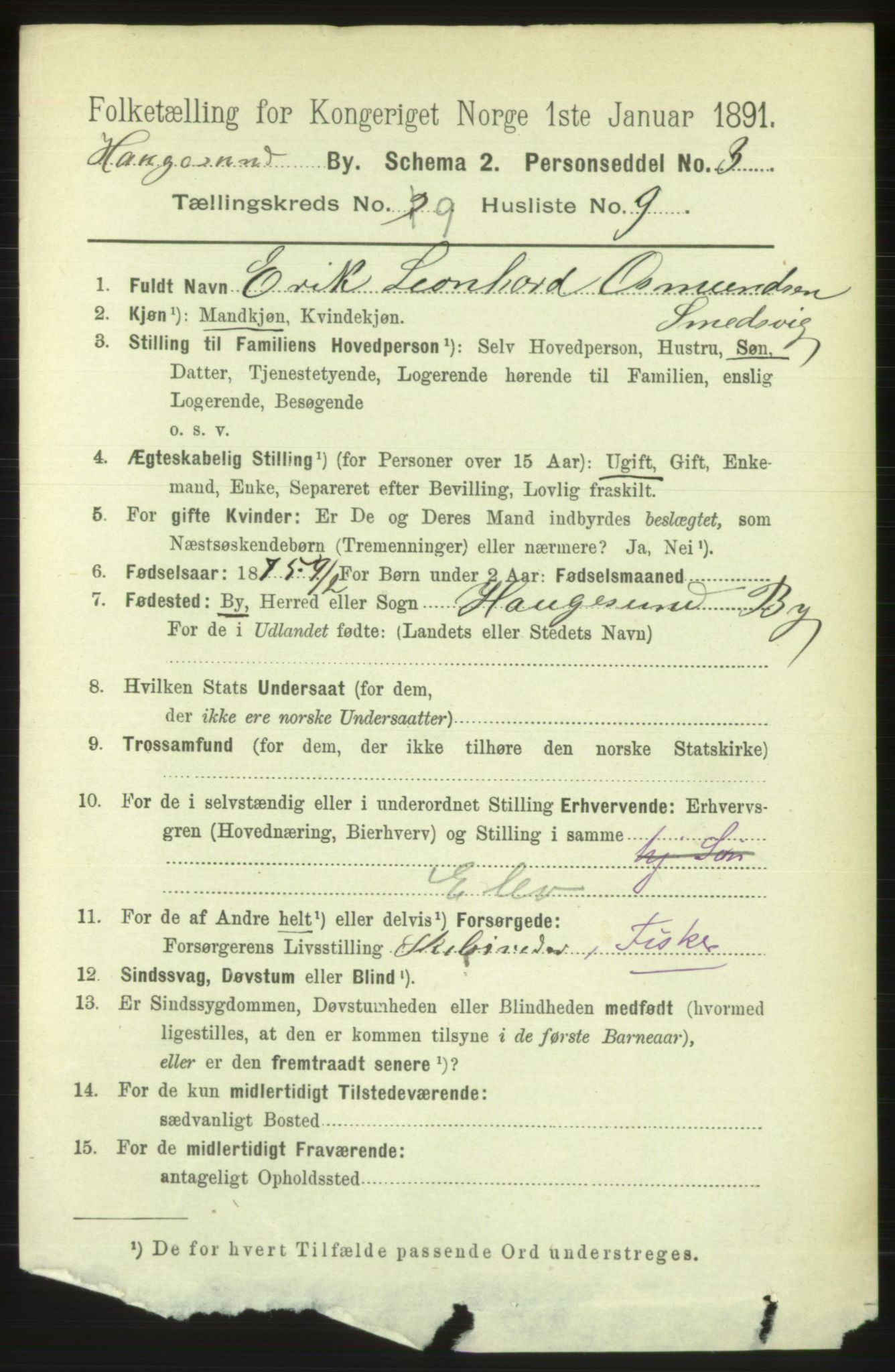 RA, 1891 census for 1106 Haugesund, 1891, p. 3729