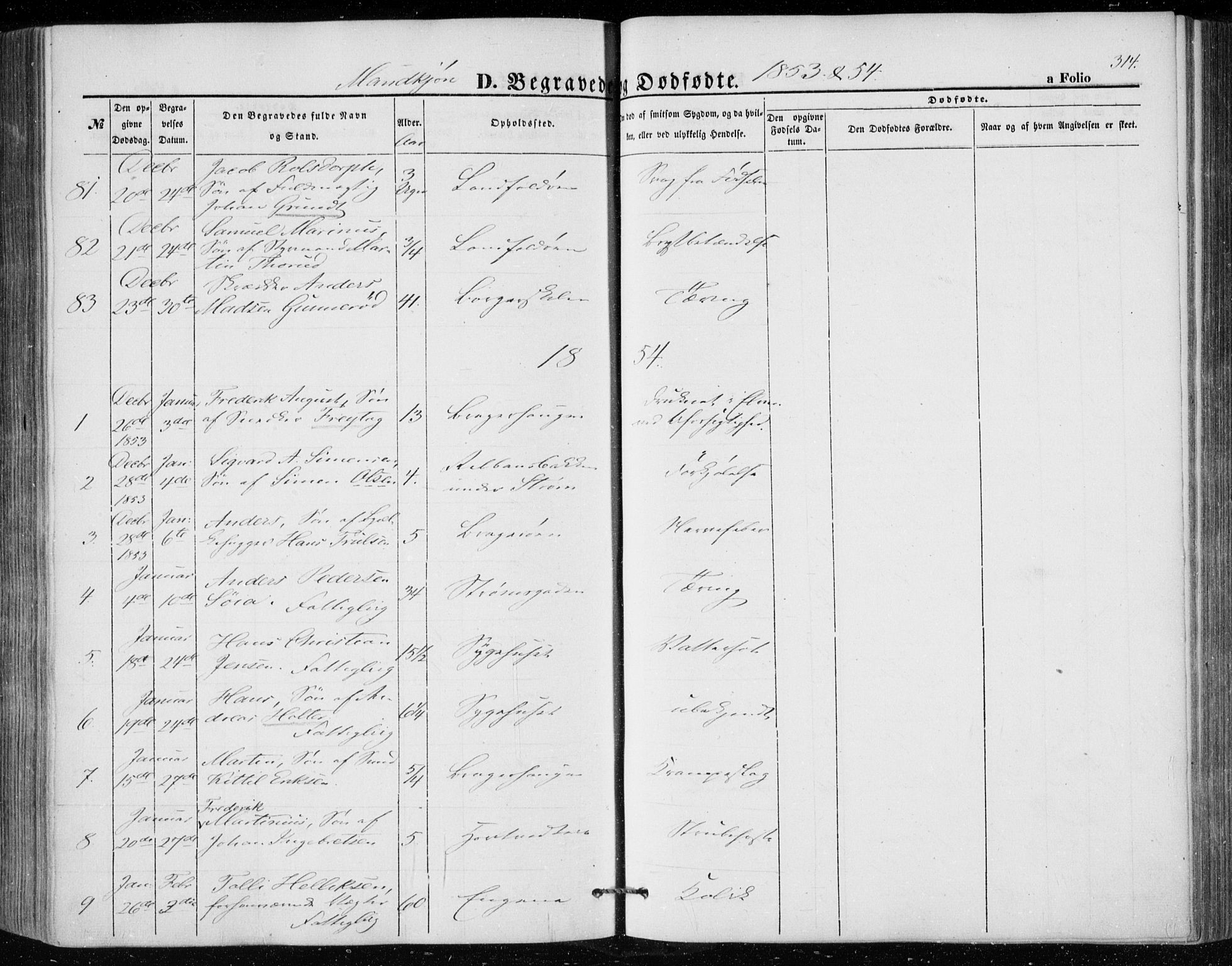 Bragernes kirkebøker, AV/SAKO-A-6/F/Fb/L0002: Parish register (official) no. II 2, 1848-1859, p. 314