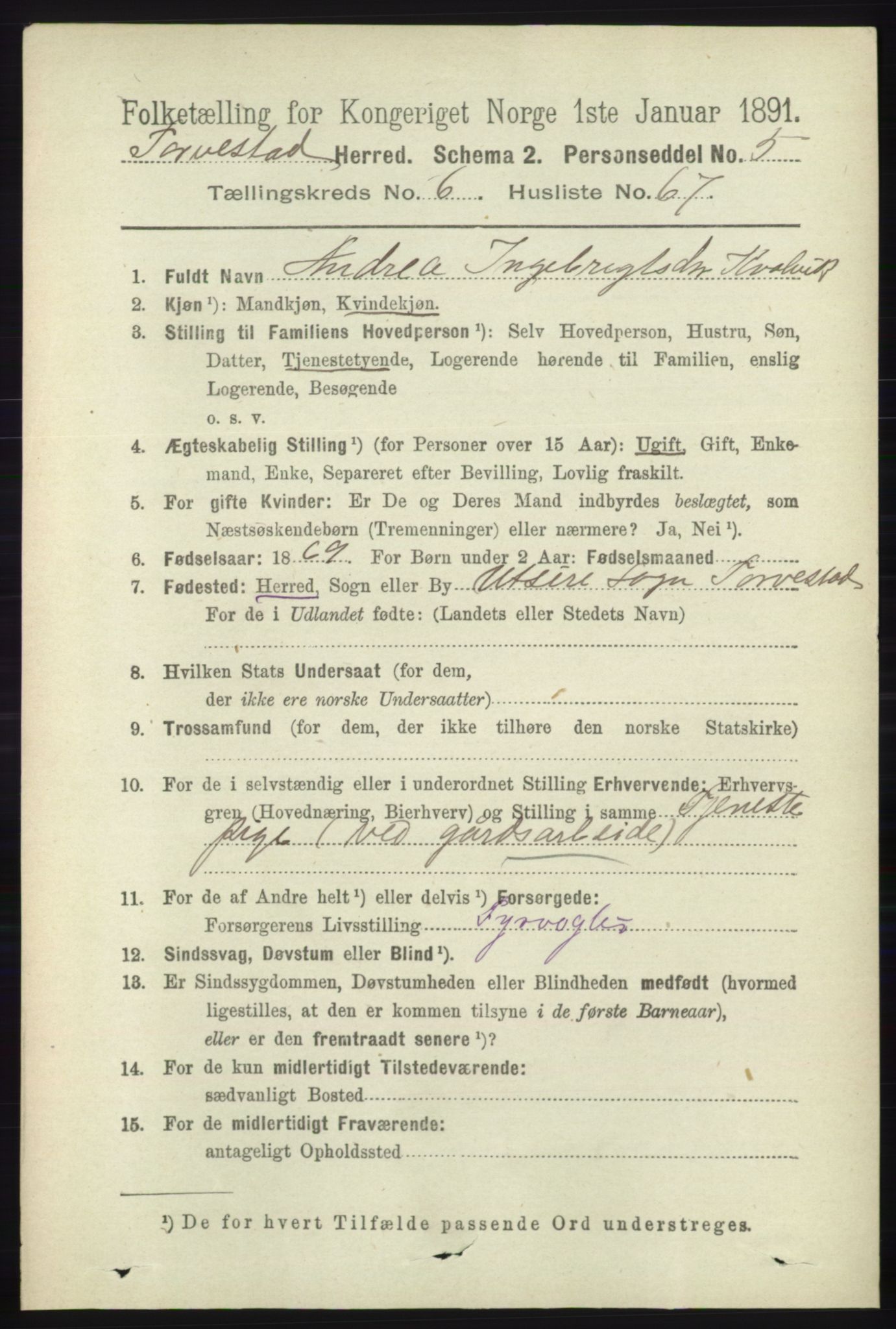 RA, 1891 census for 1152 Torvastad, 1891, p. 2340