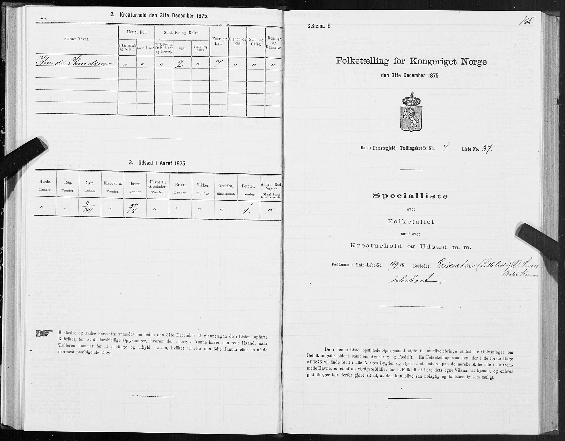 SAT, 1875 census for 1544P Bolsøy, 1875, p. 3165