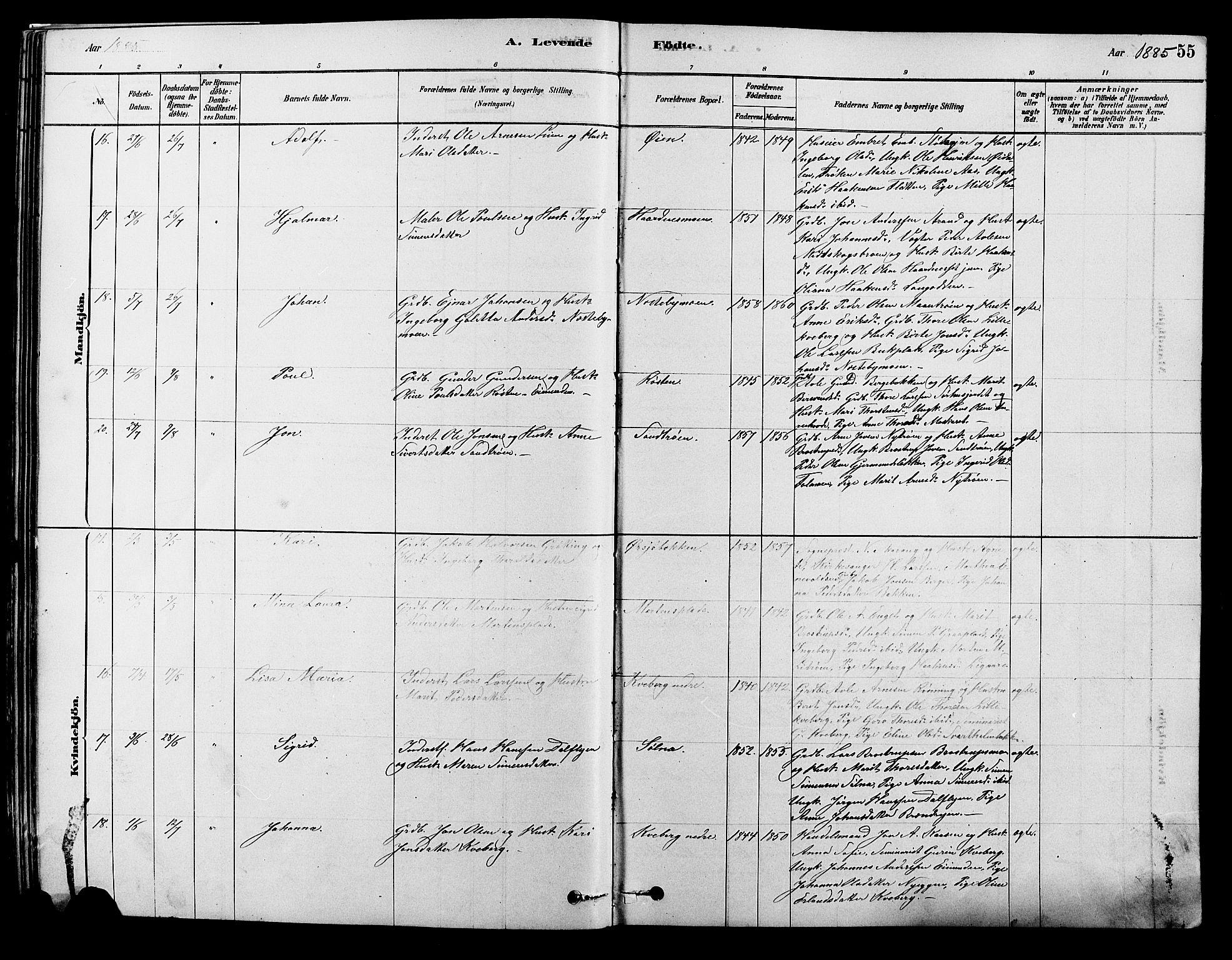Alvdal prestekontor, AV/SAH-PREST-060/H/Ha/Hab/L0003: Parish register (copy) no. 3, 1878-1907, p. 55