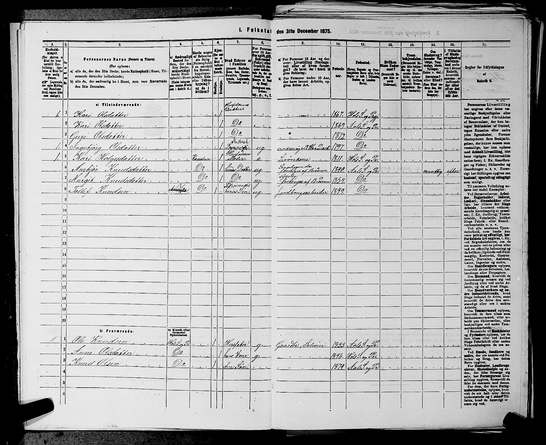 SAKO, 1875 census for 0619P Ål, 1875, p. 1106