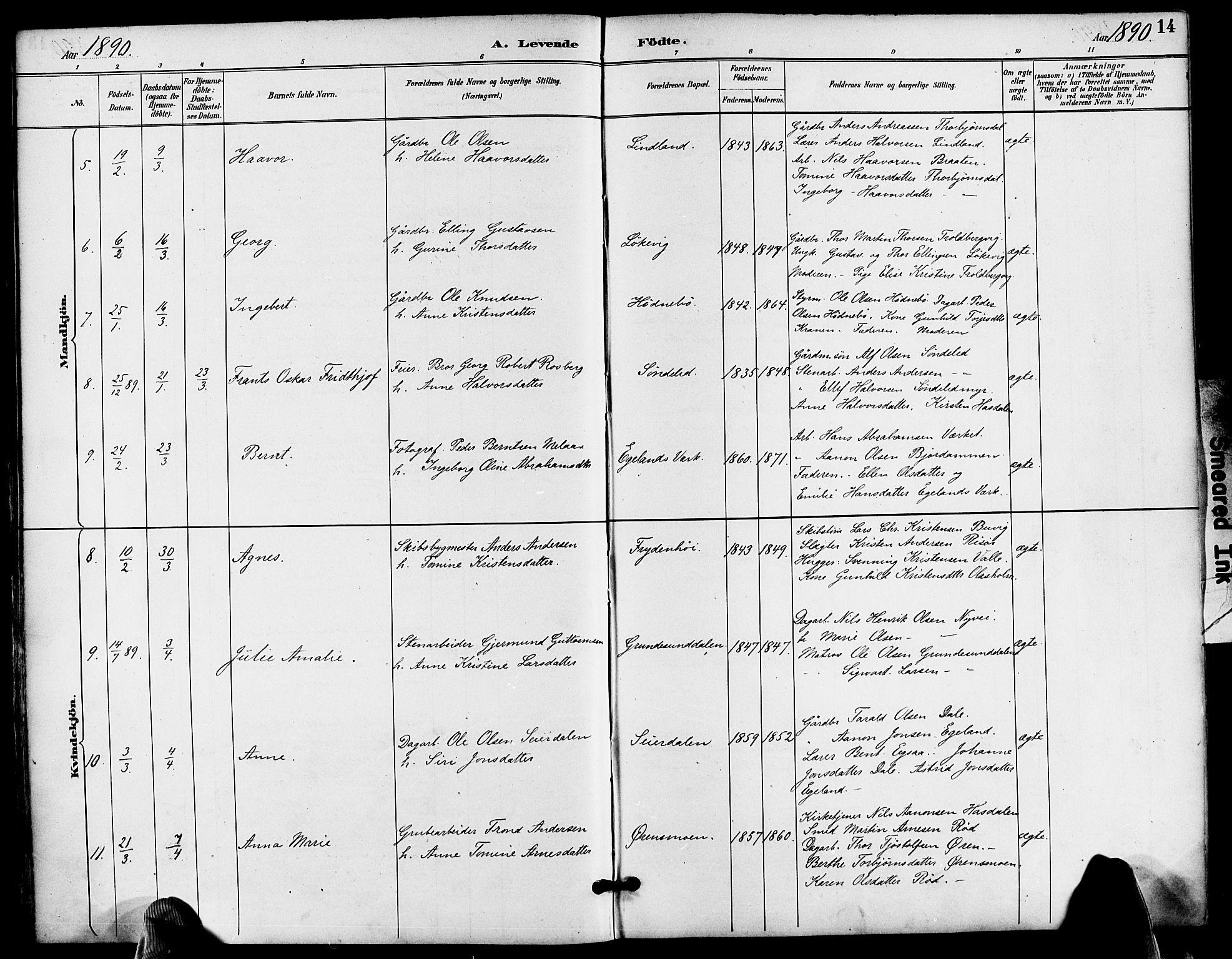 Søndeled sokneprestkontor, AV/SAK-1111-0038/F/Fa/L0005: Parish register (official) no. A 5, 1889-1899, p. 14