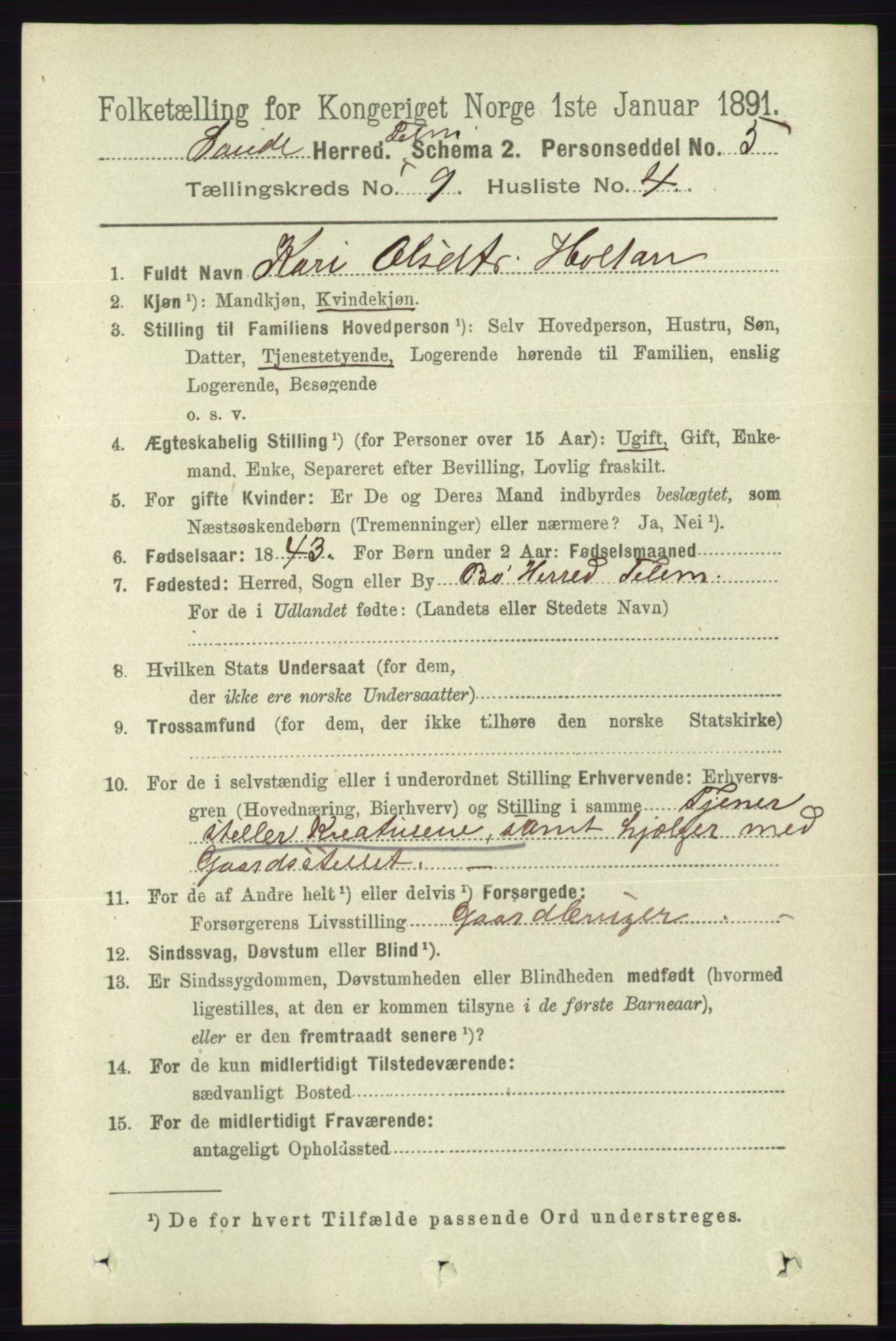 RA, 1891 census for 0822 Sauherad, 1891, p. 2721