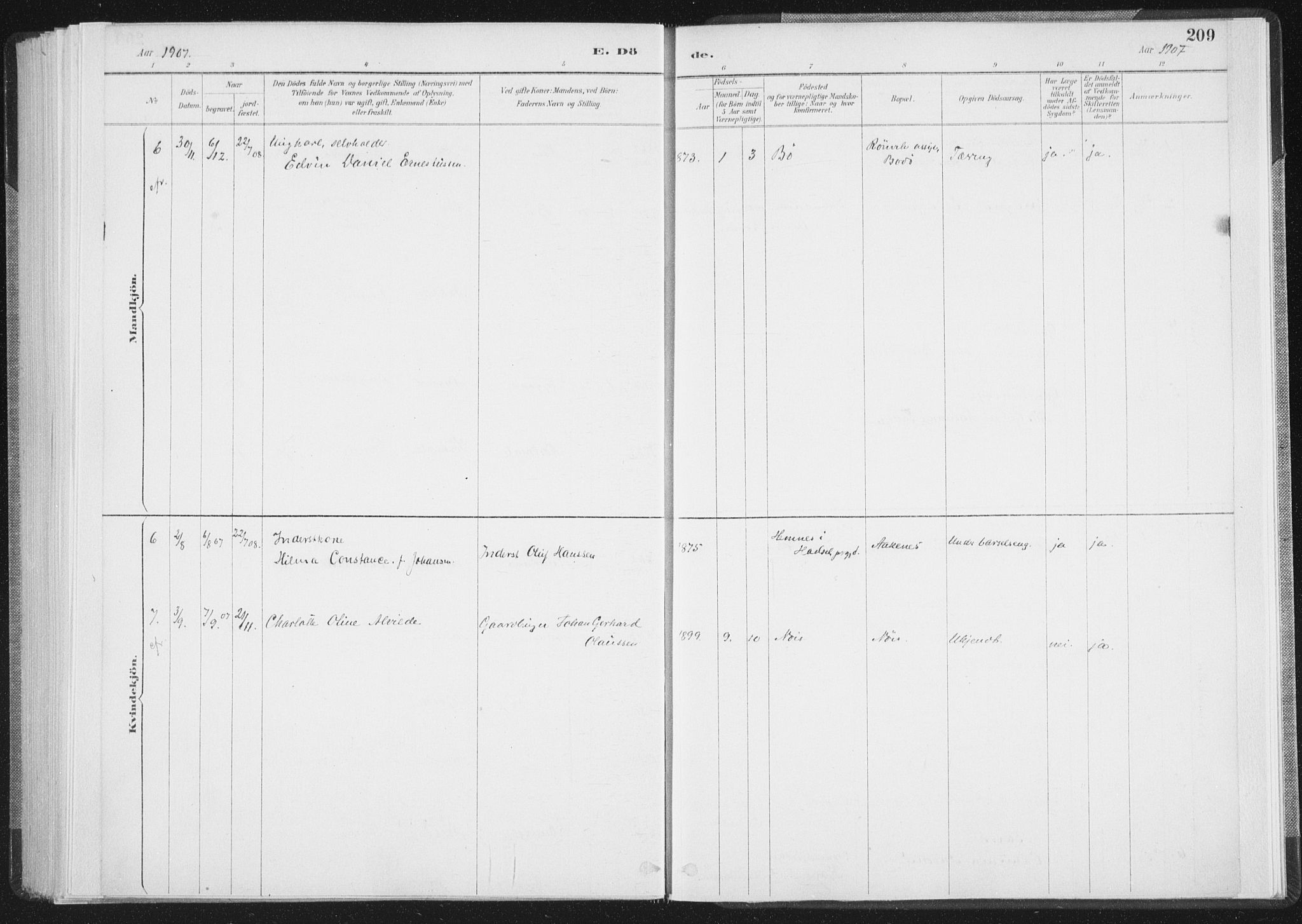 Ministerialprotokoller, klokkerbøker og fødselsregistre - Nordland, AV/SAT-A-1459/898/L1422: Parish register (official) no. 898A02, 1887-1908, p. 209