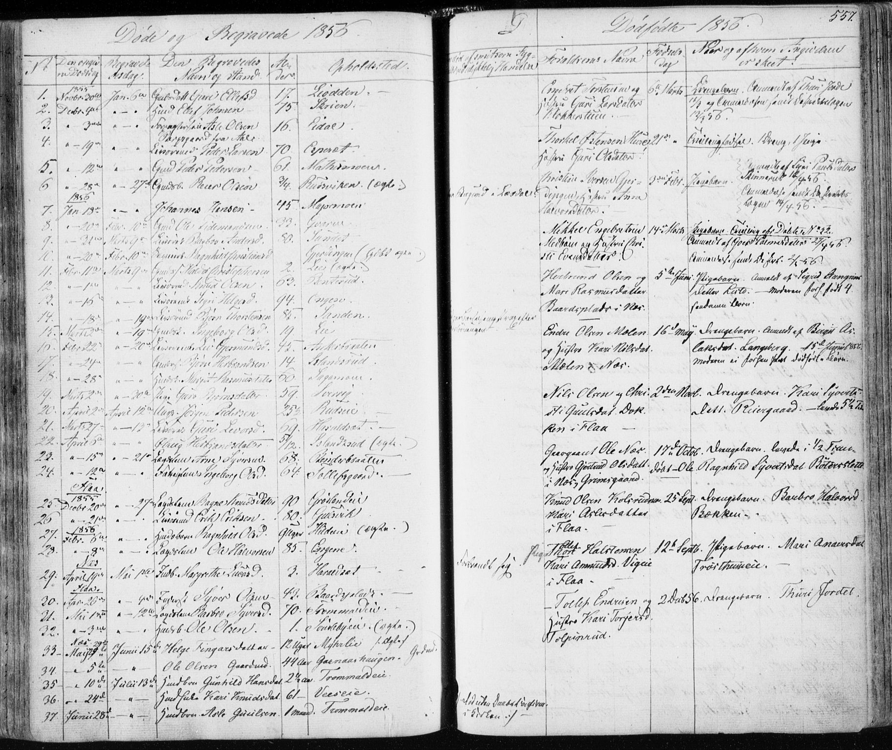 Nes kirkebøker, SAKO/A-236/F/Fa/L0009: Parish register (official) no. 9, 1834-1863, p. 557