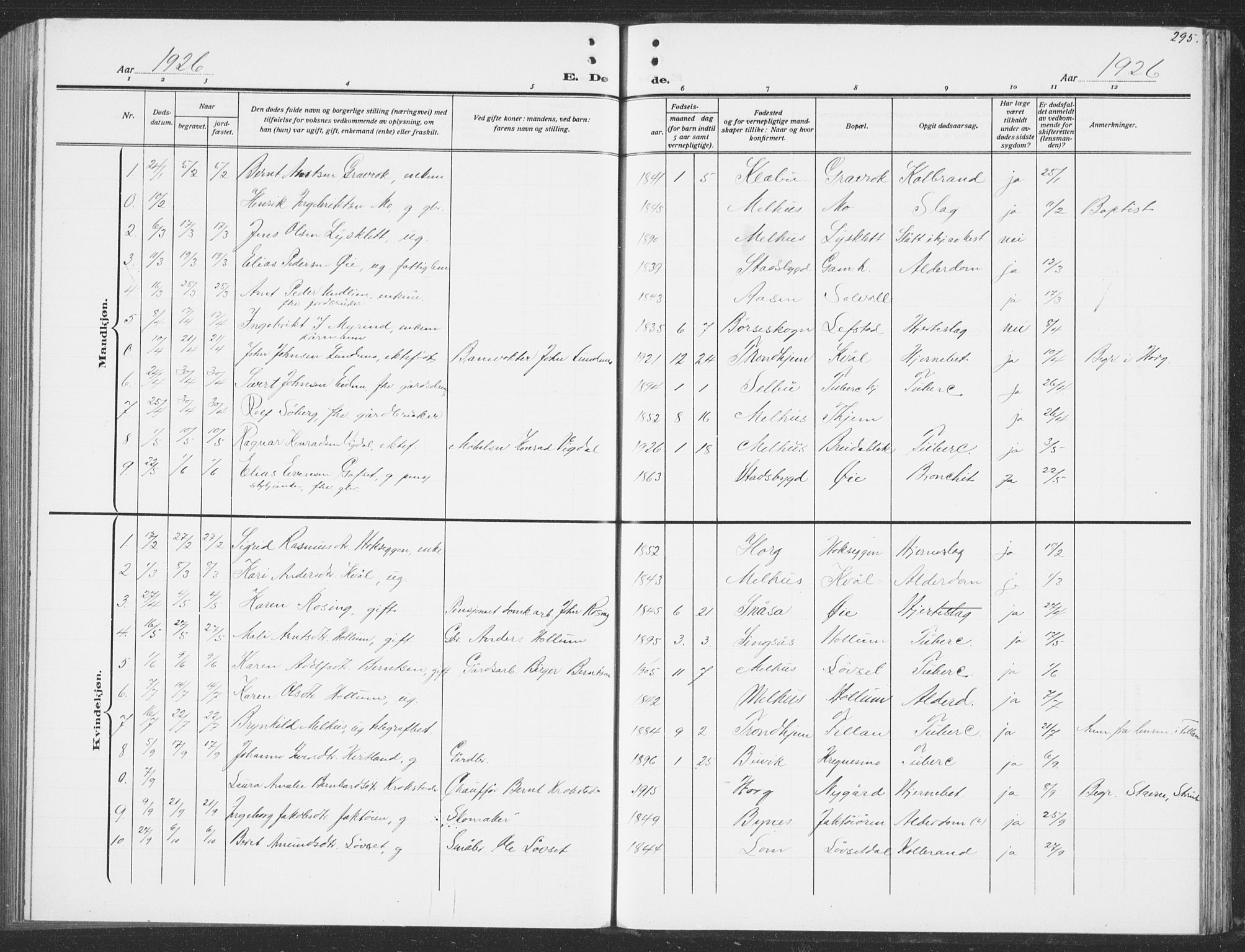 Ministerialprotokoller, klokkerbøker og fødselsregistre - Sør-Trøndelag, AV/SAT-A-1456/691/L1095: Parish register (copy) no. 691C06, 1912-1933, p. 295