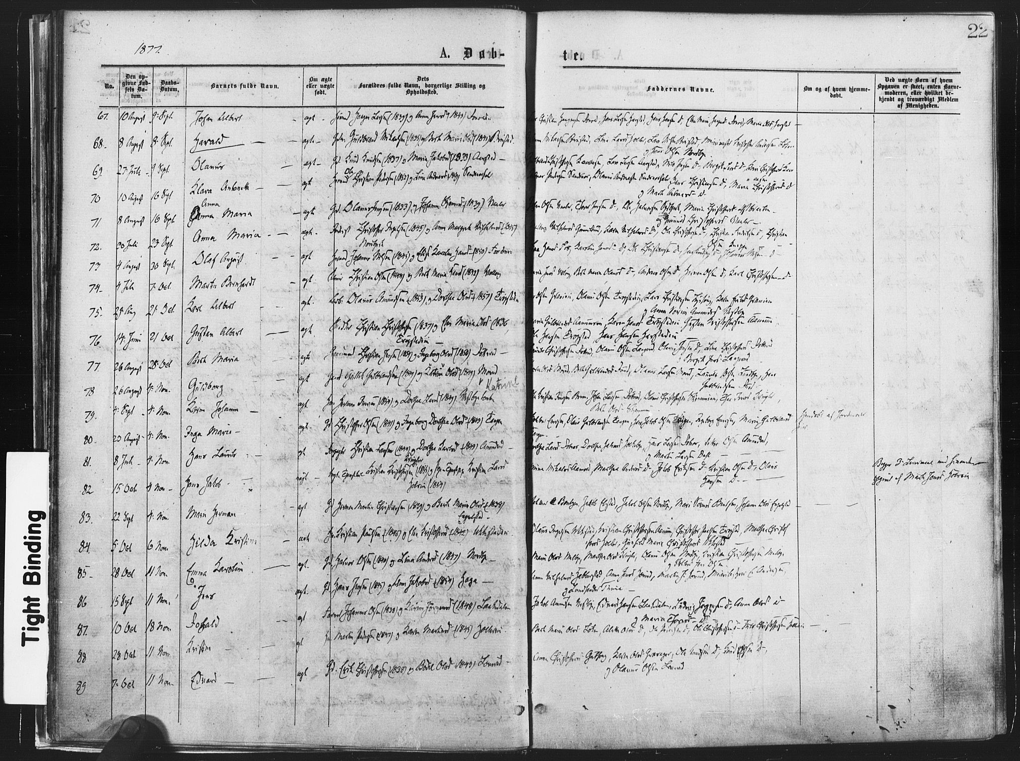Nannestad prestekontor Kirkebøker, SAO/A-10414a/F/Fa/L0013: Parish register (official) no. I 13, 1873-1880, p. 22