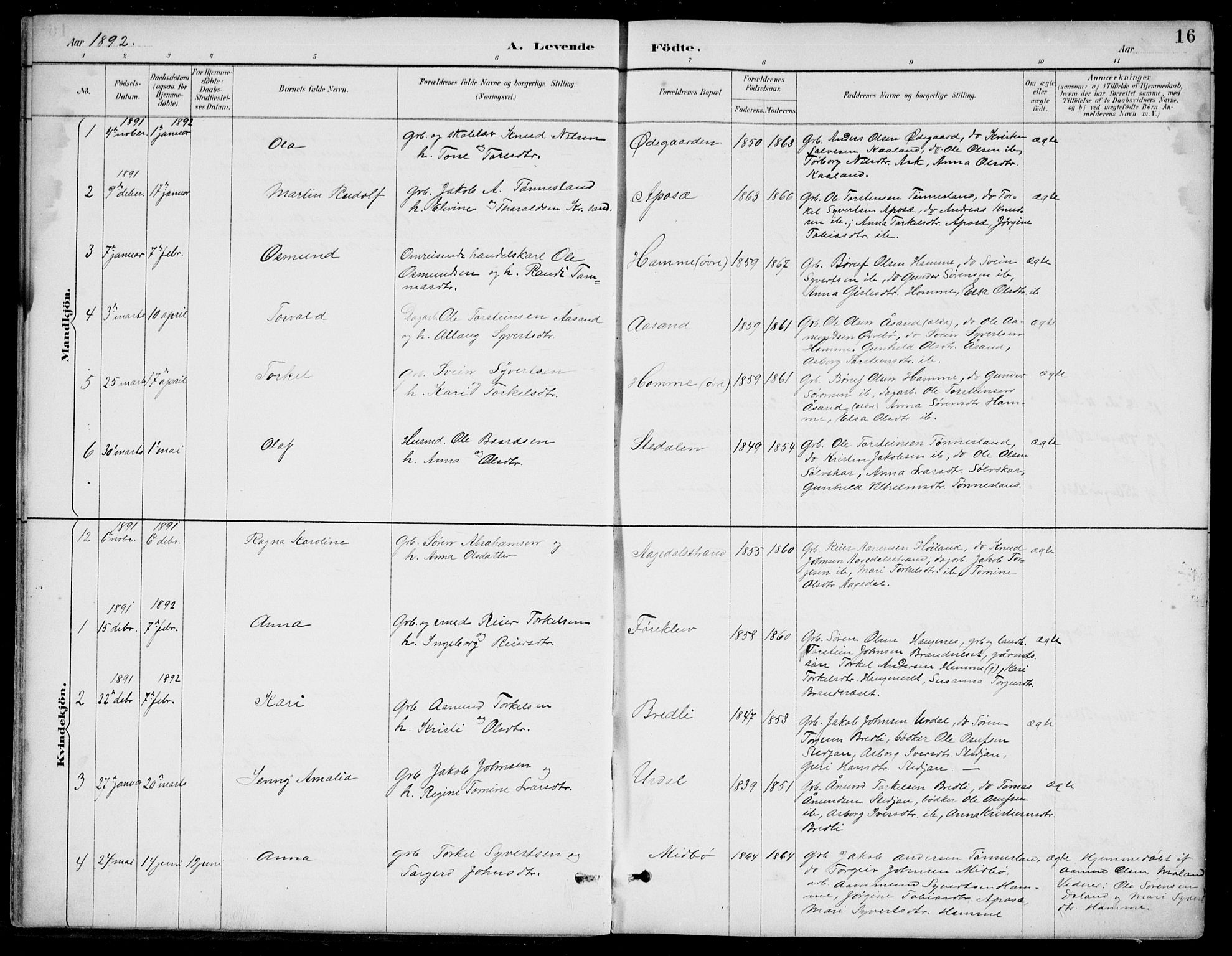 Bjelland sokneprestkontor, SAK/1111-0005/F/Fb/Fba/L0005: Parish register (copy) no. B 5, 1887-1923, p. 16