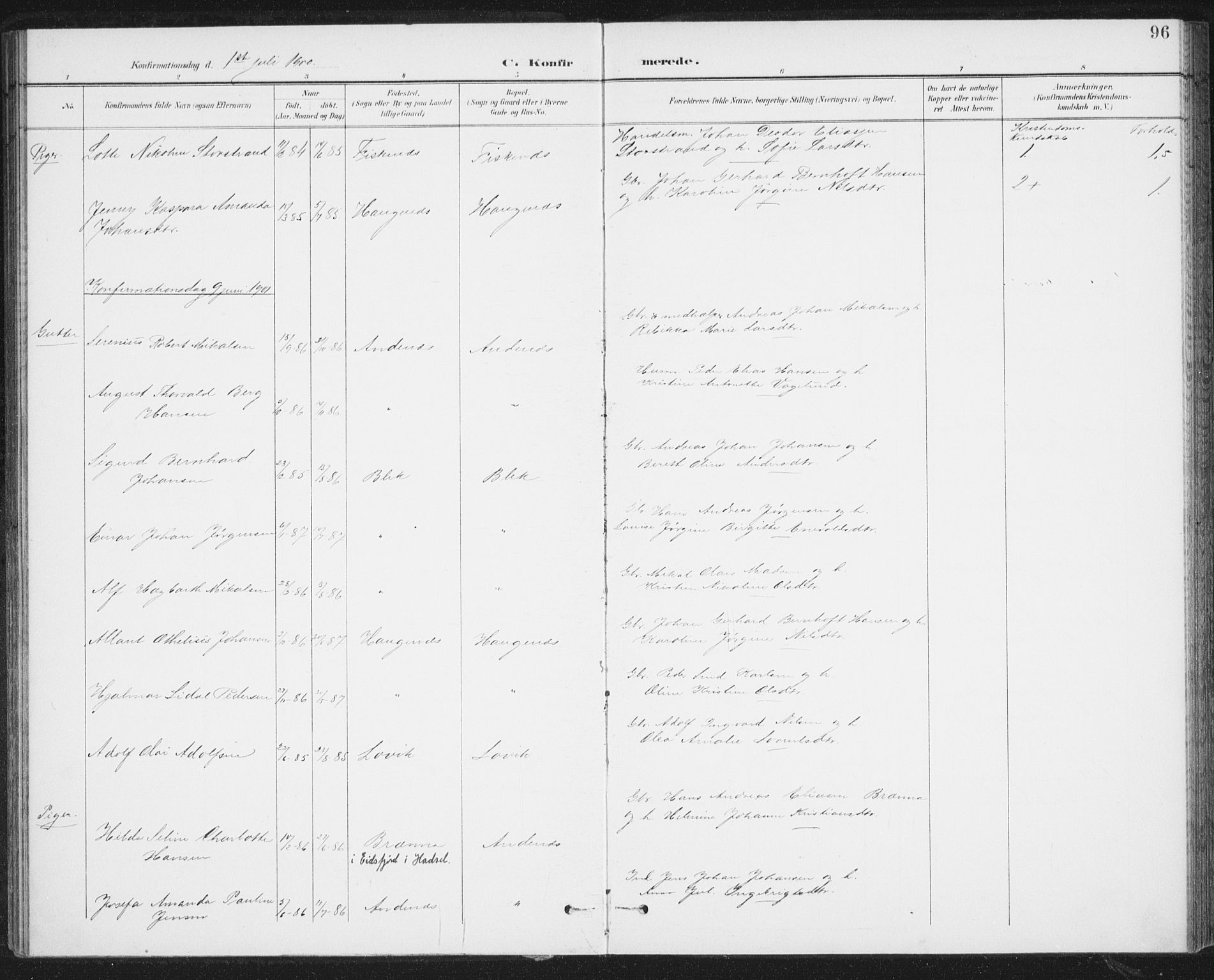 Ministerialprotokoller, klokkerbøker og fødselsregistre - Nordland, SAT/A-1459/899/L1437: Parish register (official) no. 899A05, 1897-1908, p. 96