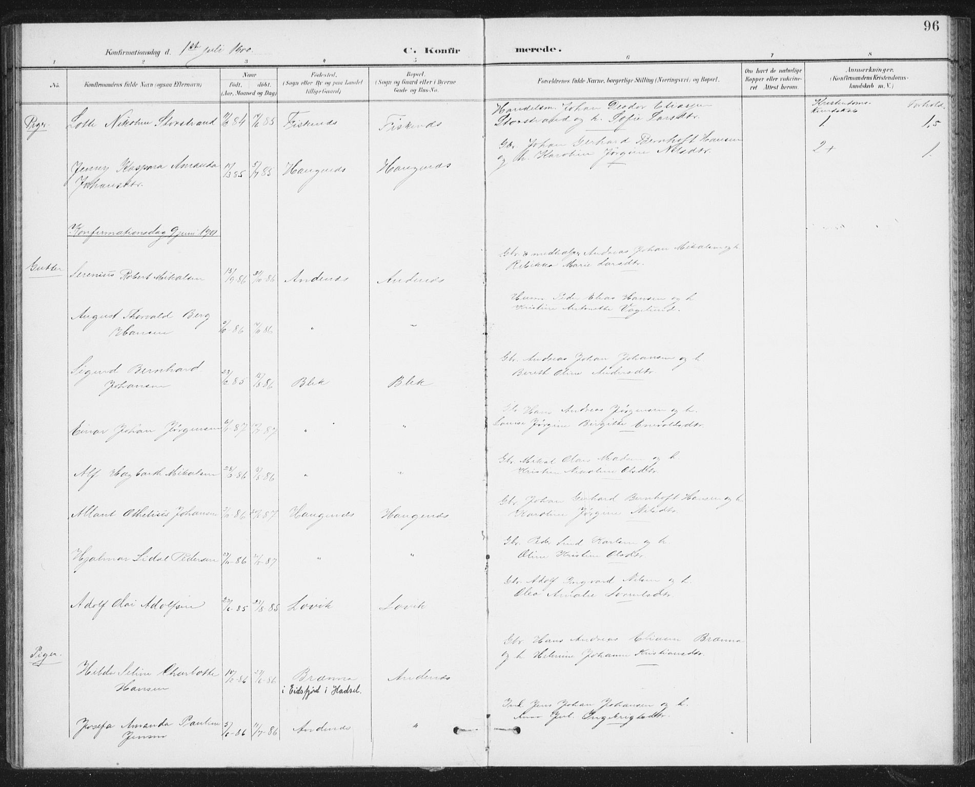 Ministerialprotokoller, klokkerbøker og fødselsregistre - Nordland, AV/SAT-A-1459/899/L1437: Parish register (official) no. 899A05, 1897-1908, p. 96