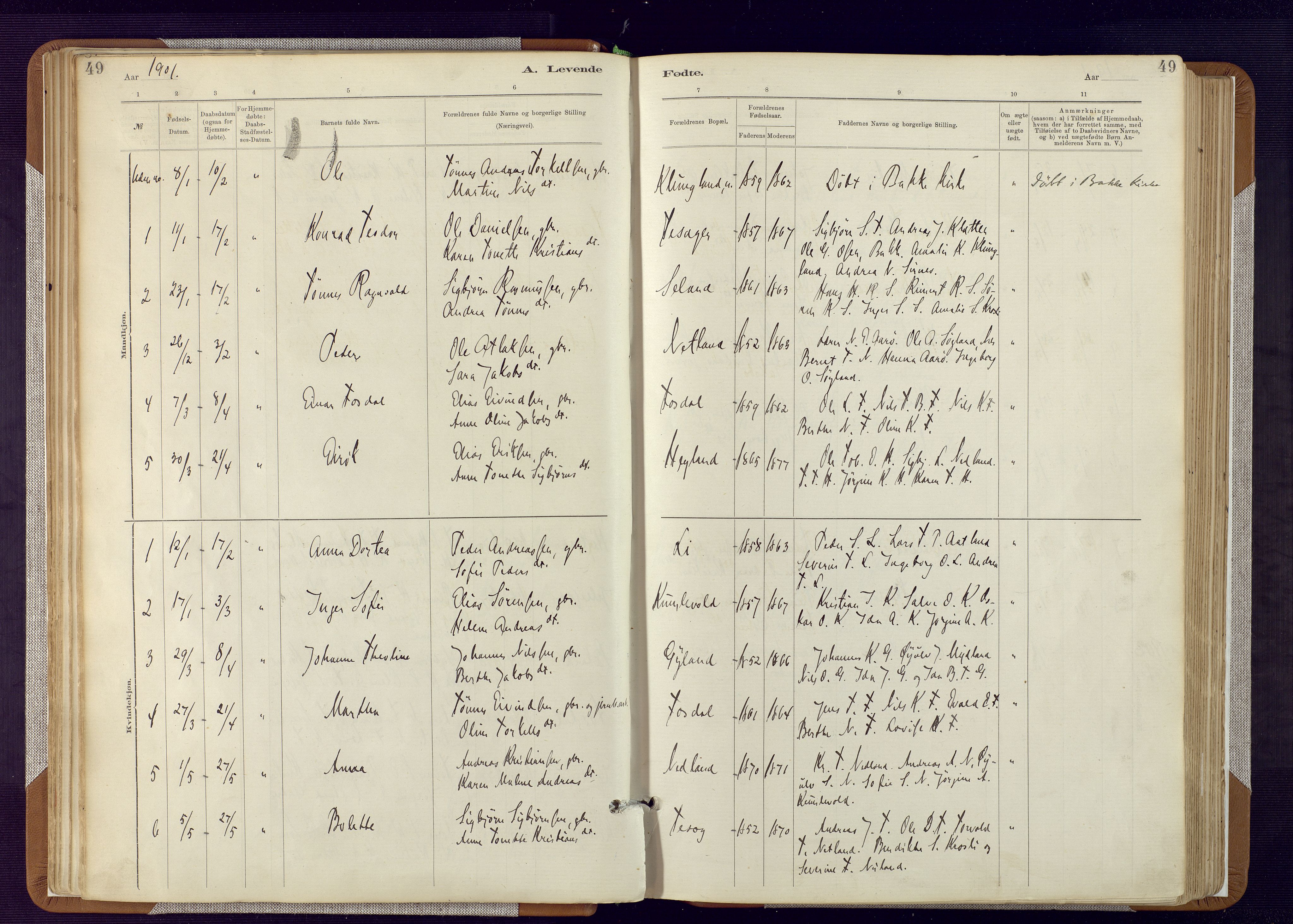 Bakke sokneprestkontor, SAK/1111-0002/F/Fa/Fab/L0003: Parish register (official) no. A 3, 1884-1921, p. 49
