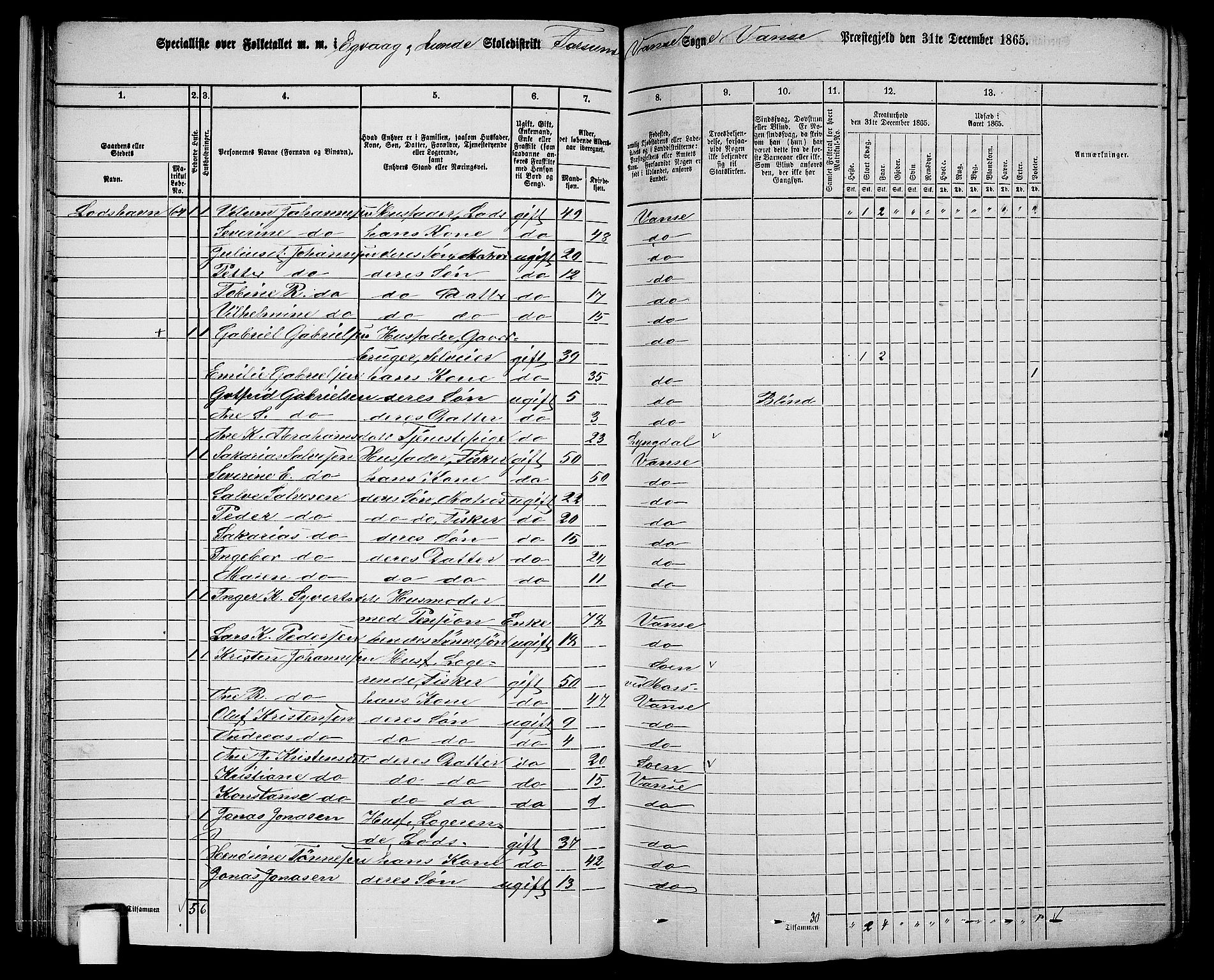 RA, 1865 census for Vanse/Vanse og Farsund, 1865, p. 28